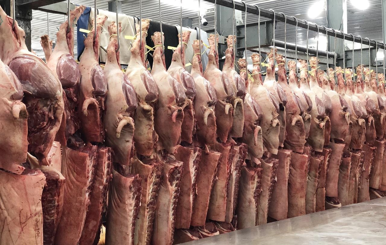 Tieu thuong cho Binh Dien lao dao vi gia lon tang vot hinh anh