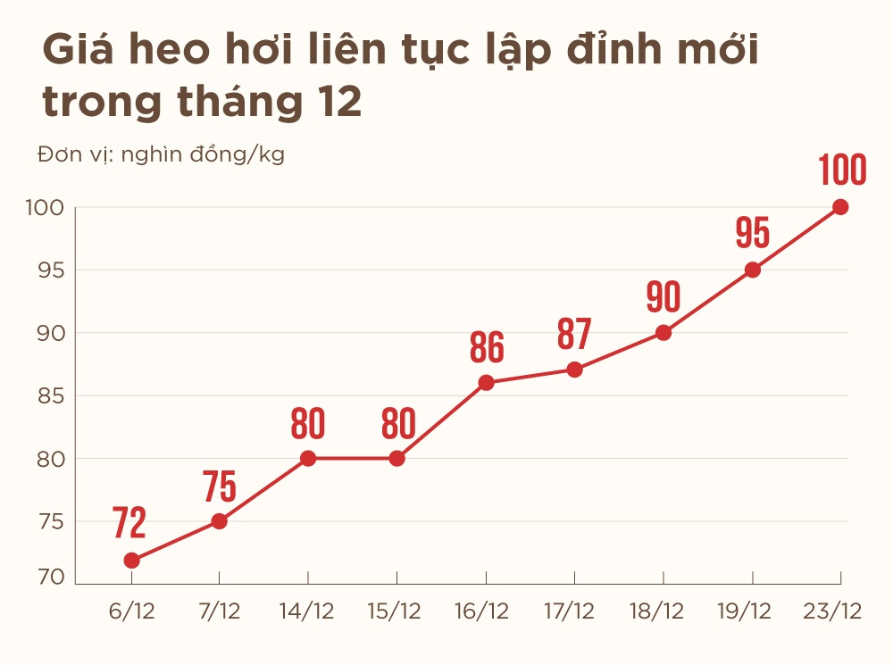 gia thit heo tang anh 2