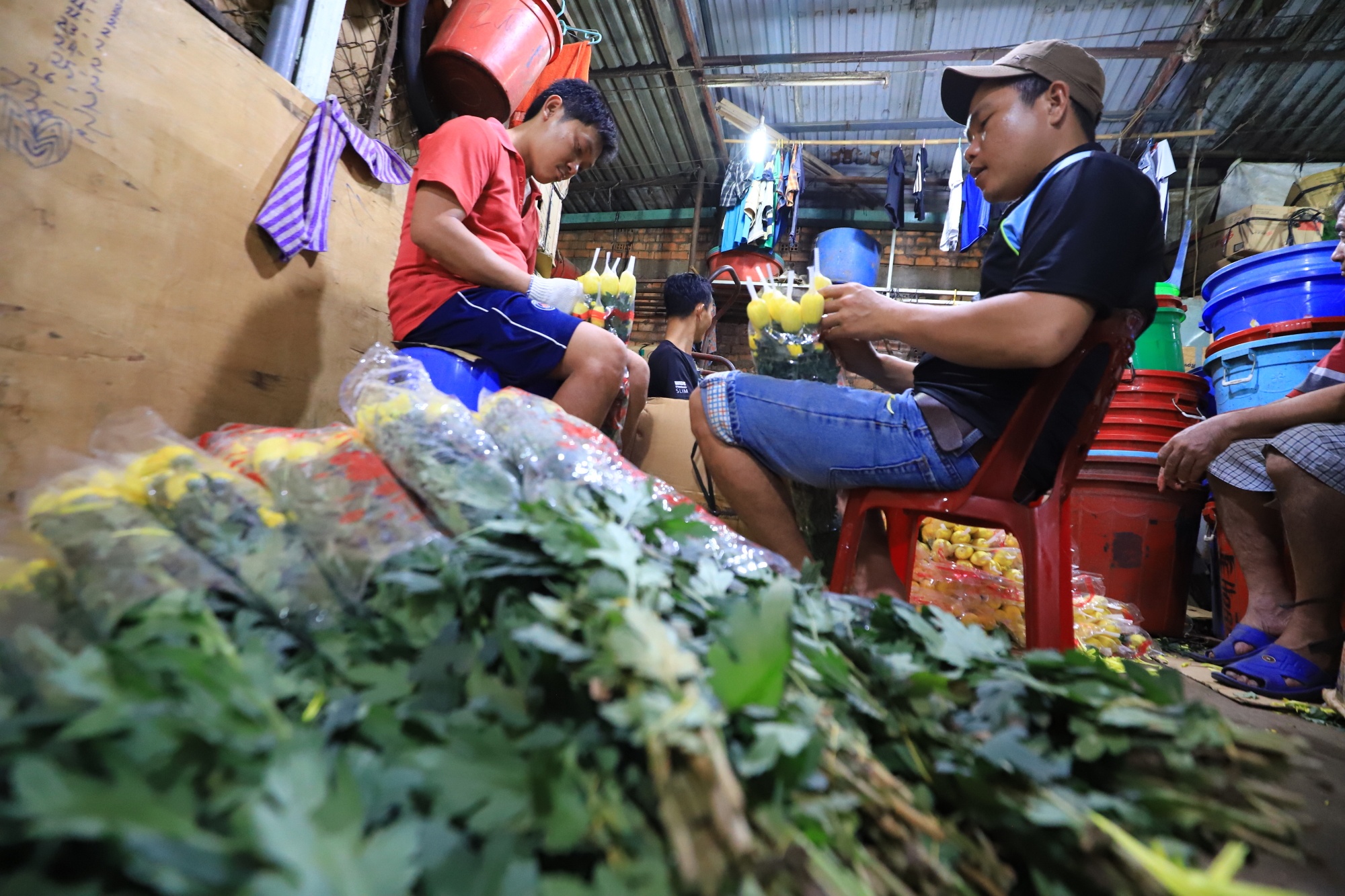 cho hoa si Dam Sen anh 8