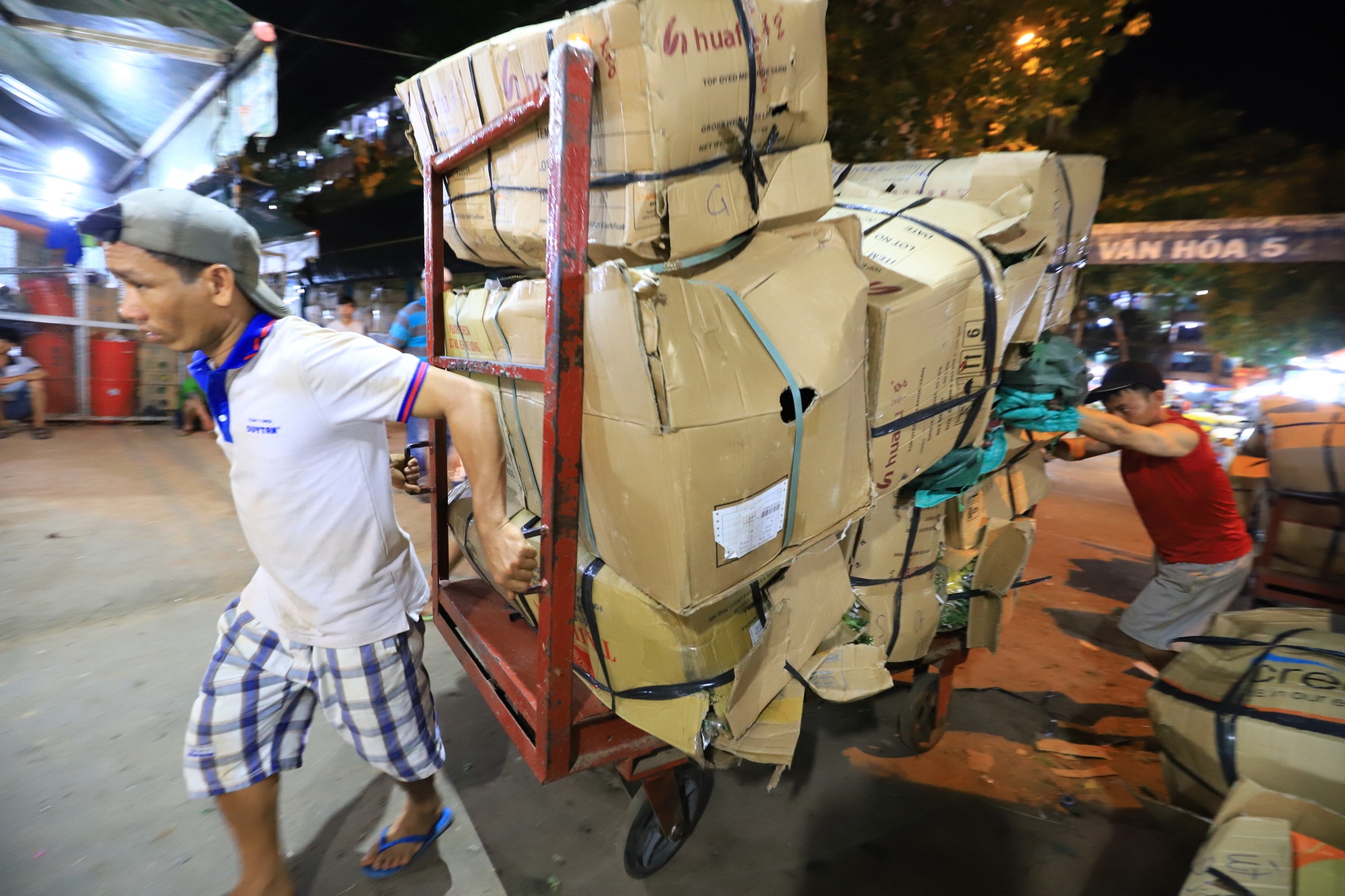 cho hoa si Dam Sen anh 5