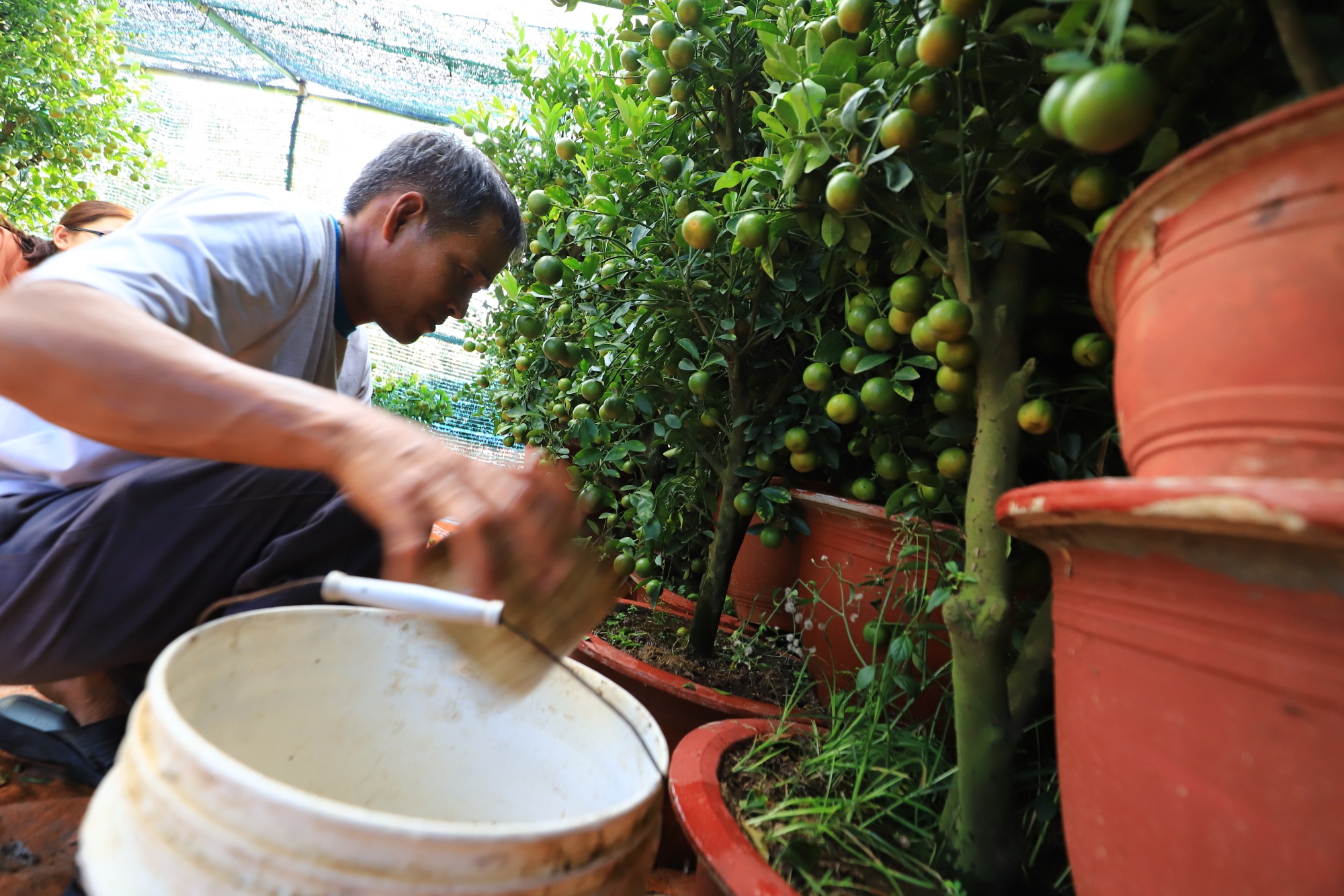 cho hoa noi TP.HCM anh 12