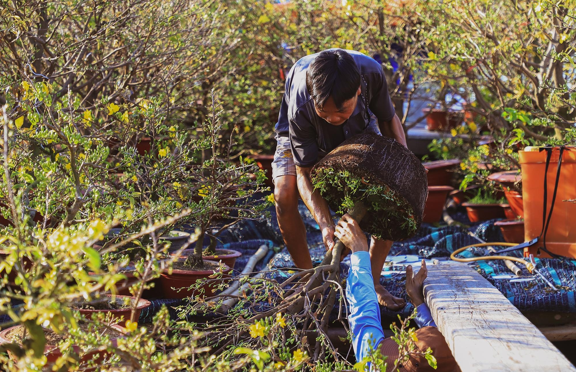 cho hoa noi TP.HCM anh 8