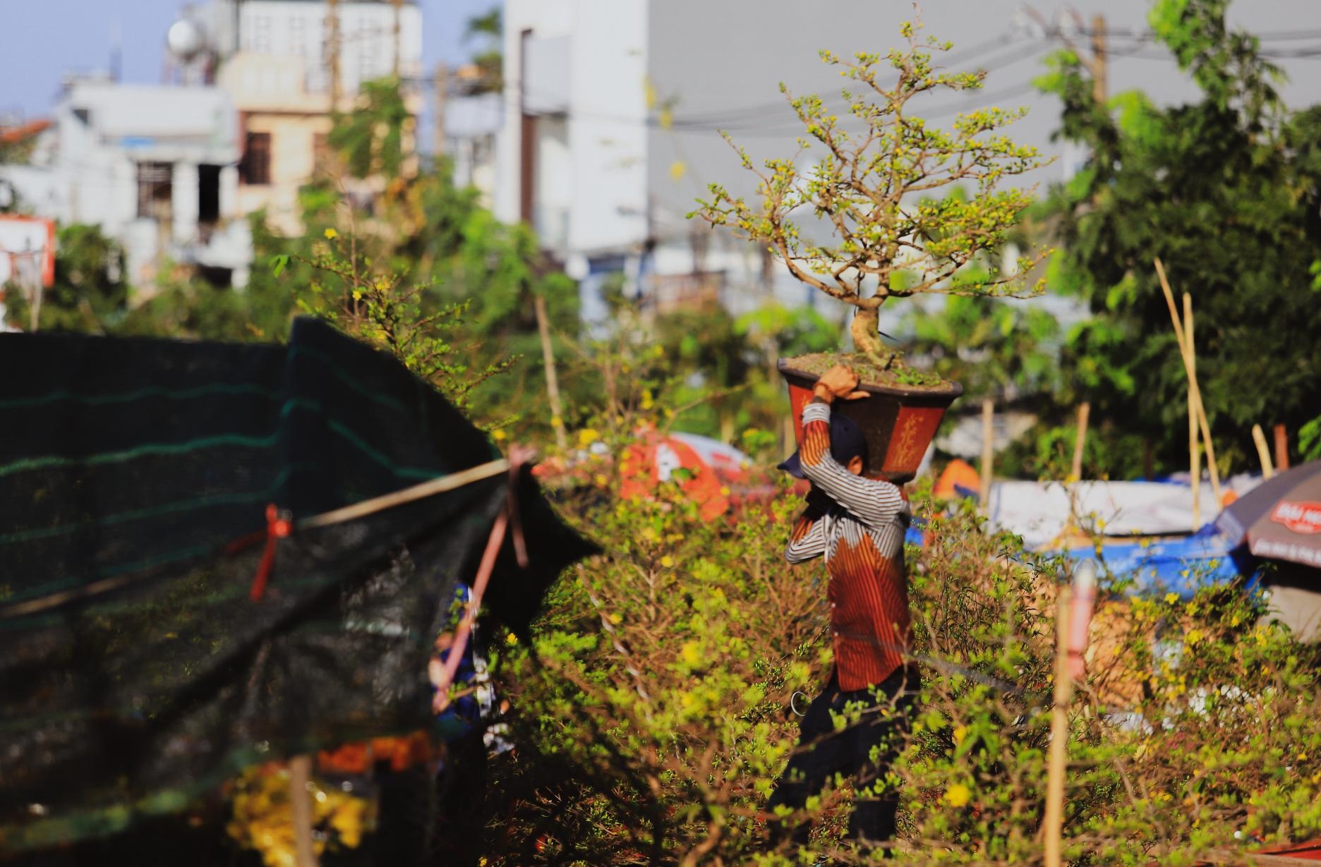 cho hoa noi TP.HCM anh 5