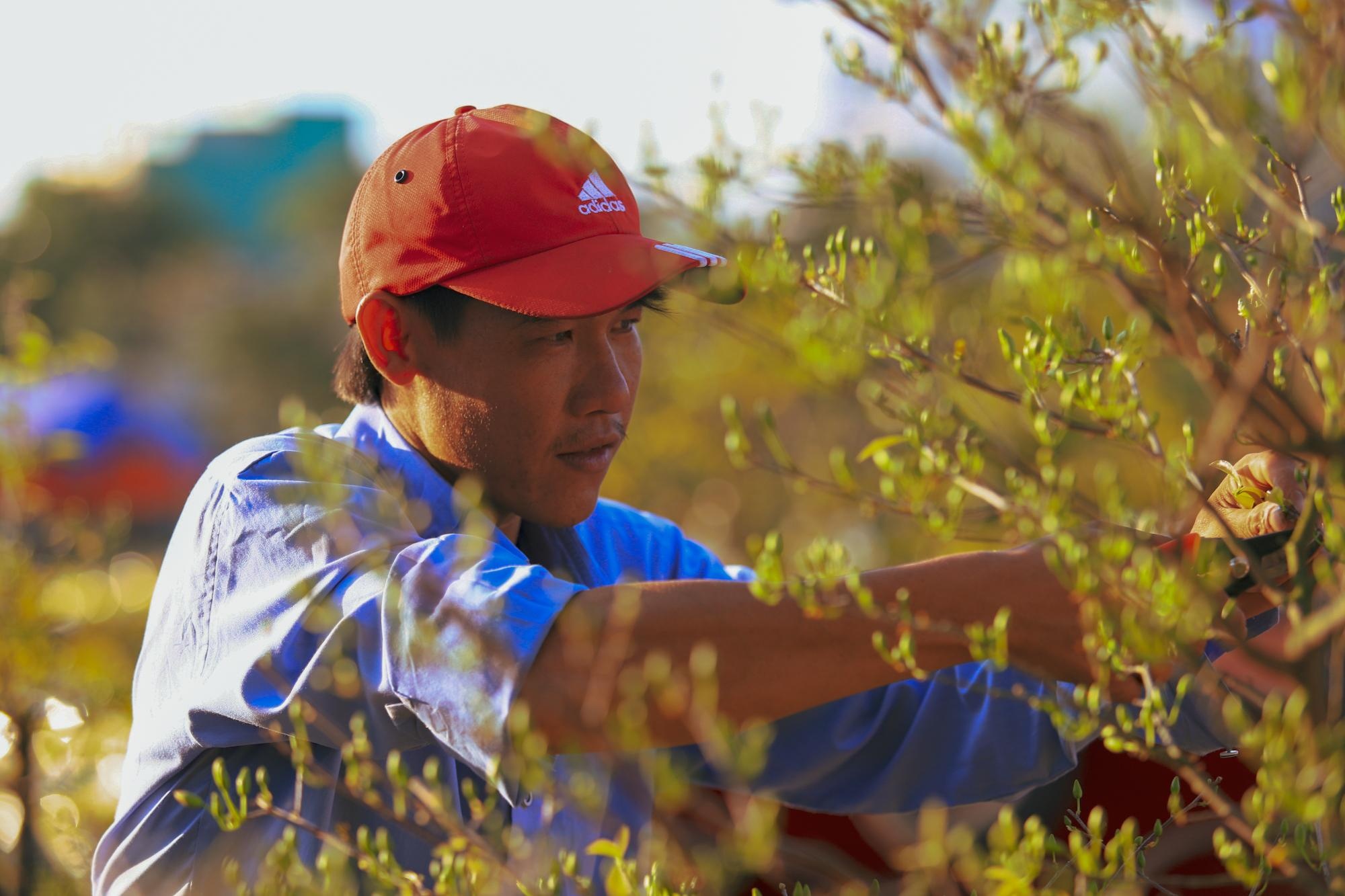 cho hoa noi TP.HCM anh 4