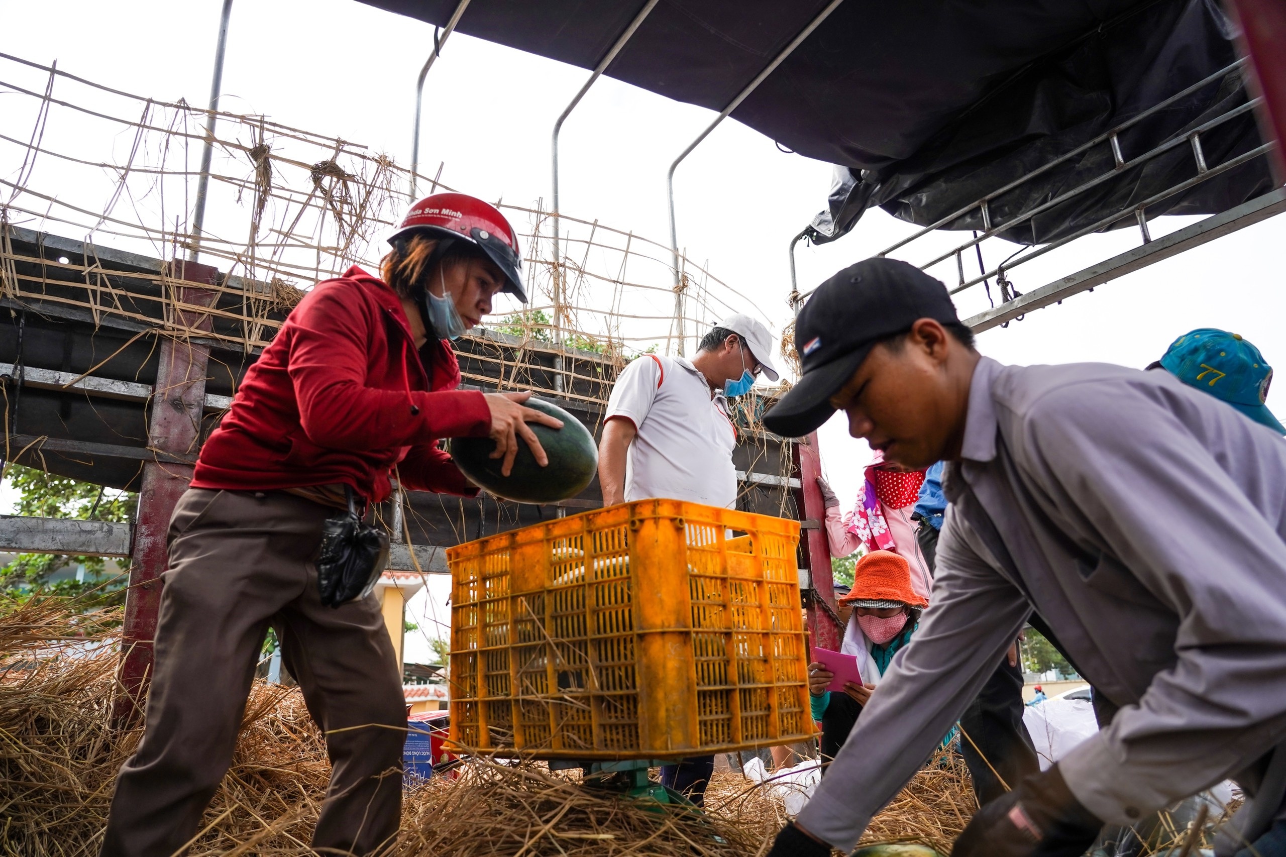 Chuyen nhung nguoi mua dua hau lam tu thien, ban khong lay loi hinh anh
