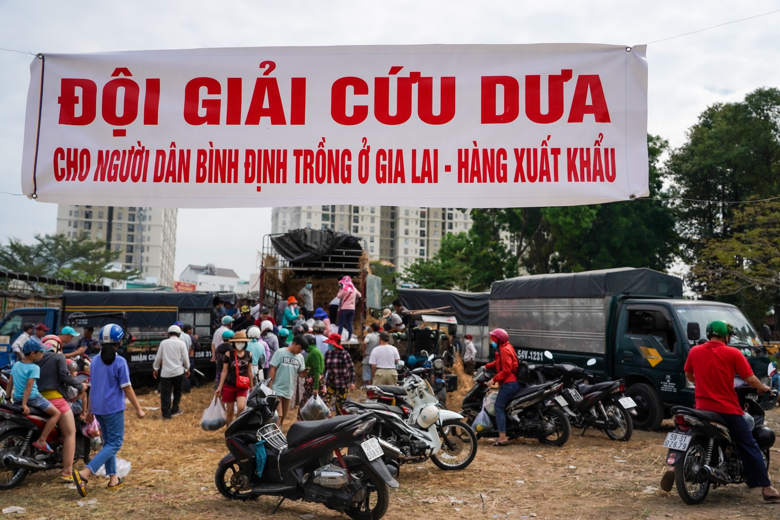 Xep hang mua dua hau, thanh long ho tro nong dan o TP.HCM hinh anh