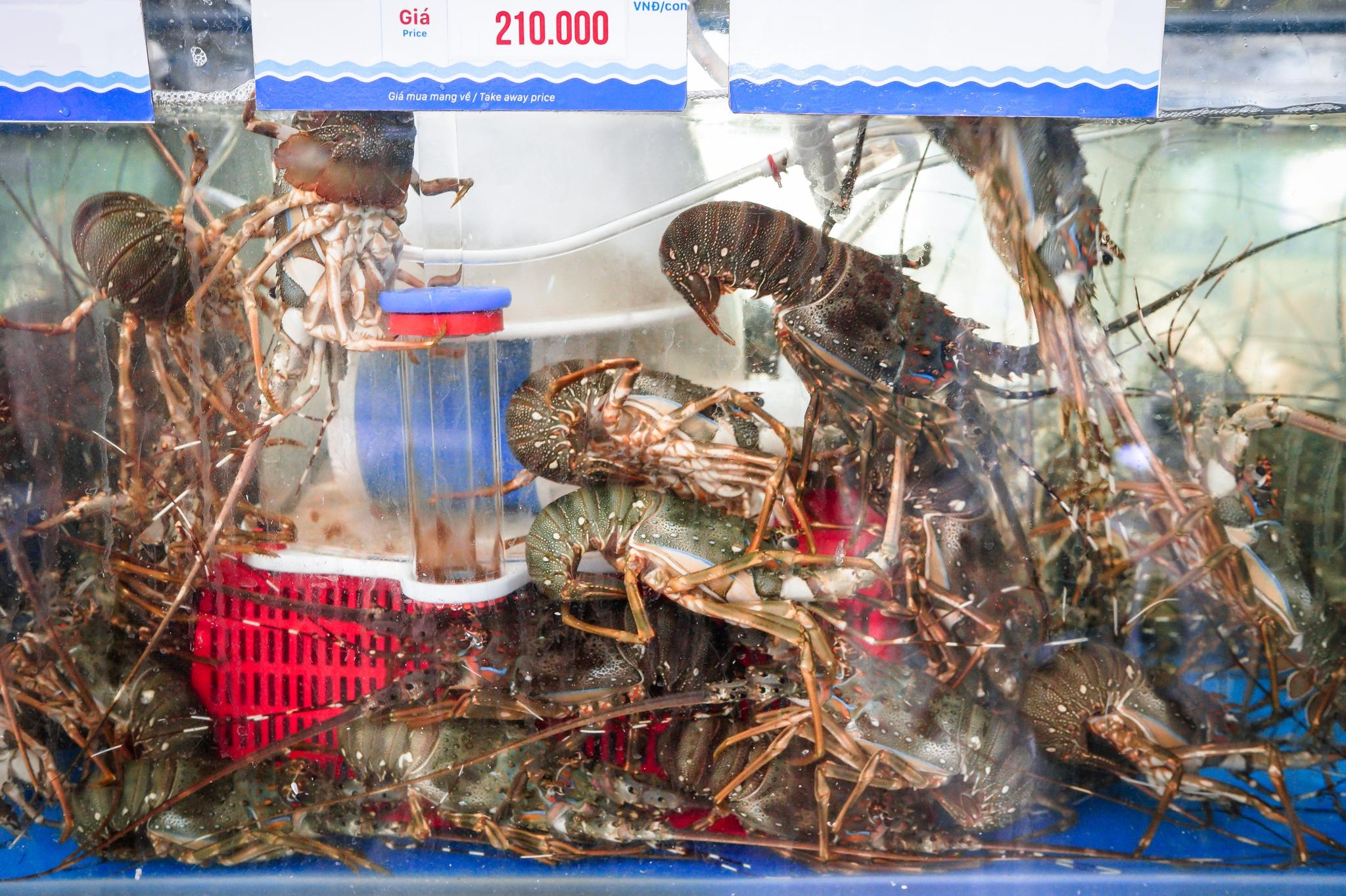 Khong de giai cuu tom hum anh 1