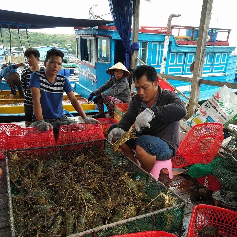 Khong de giai cuu tom hum anh 2