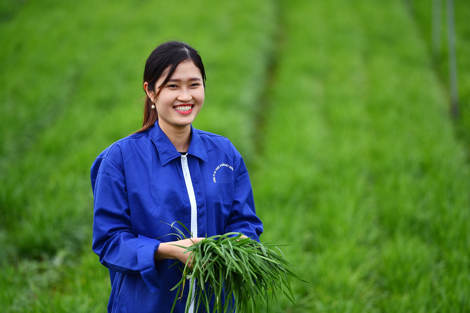 Nganh nao se dan dau phuc hoi kinh te sau cach ly? hinh anh