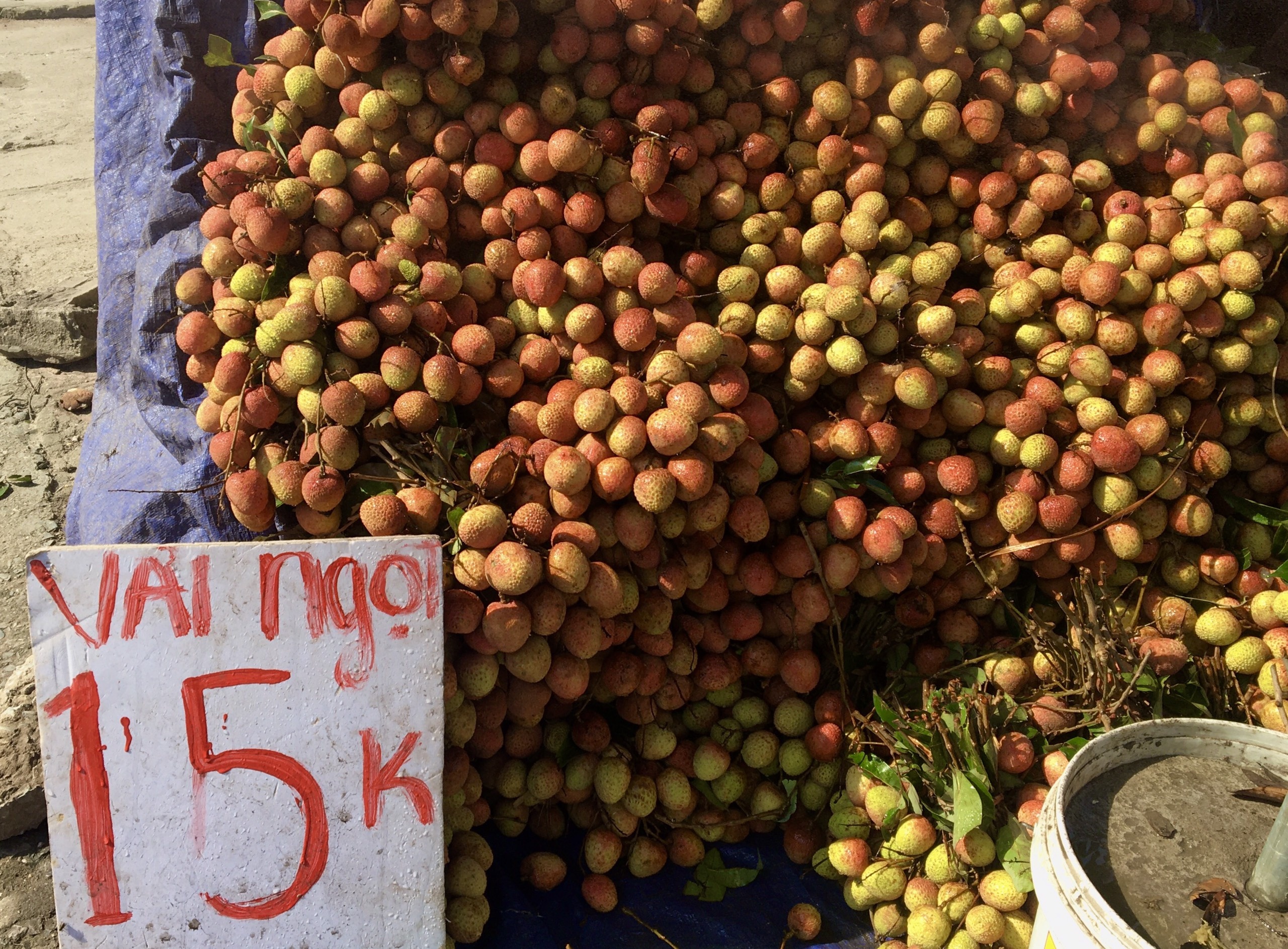 Trai cay giam gia manh anh 1