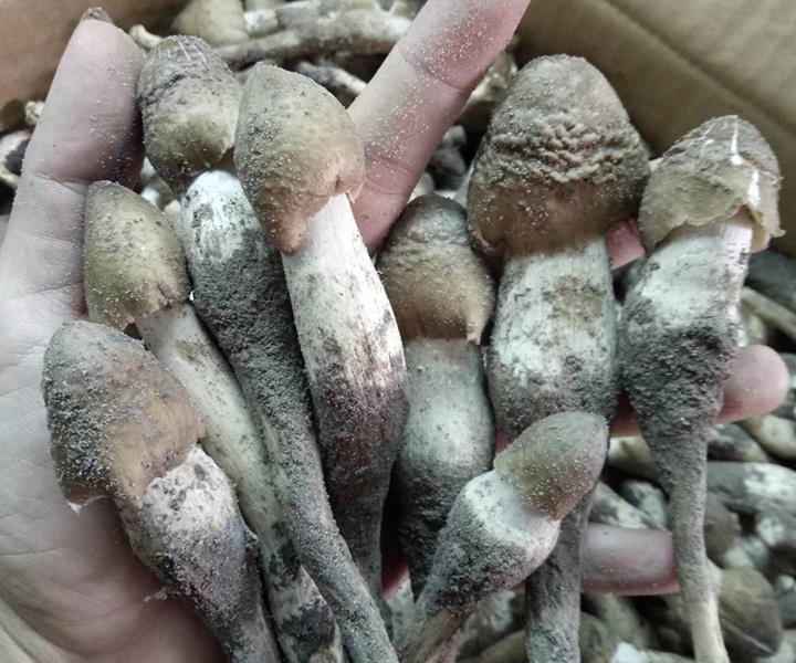 Nam moi khan hang, khach chi tien trieu cung kho mua hinh anh