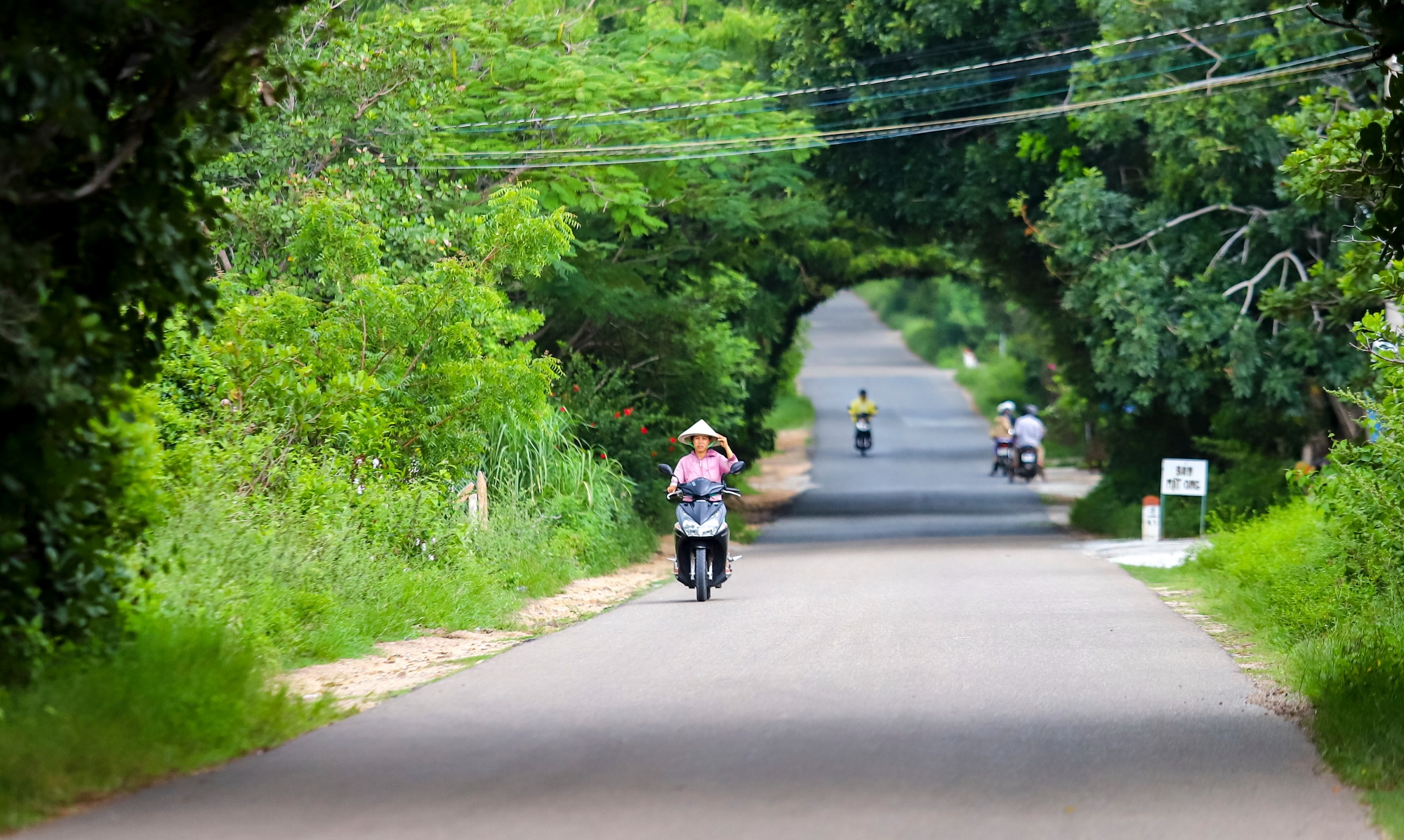 Cong trinh san bay Phan Thiet nhon nhip tro lai anh 14
