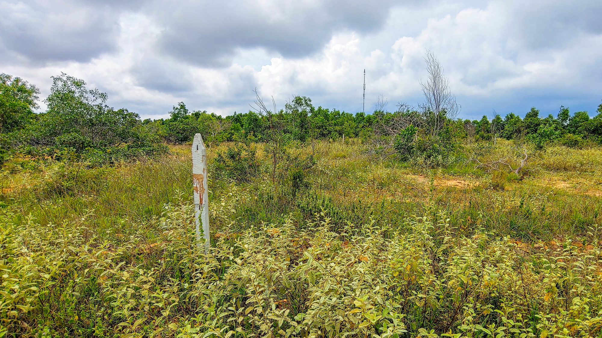 Cong trinh san bay Phan Thiet nhon nhip tro lai anh 16