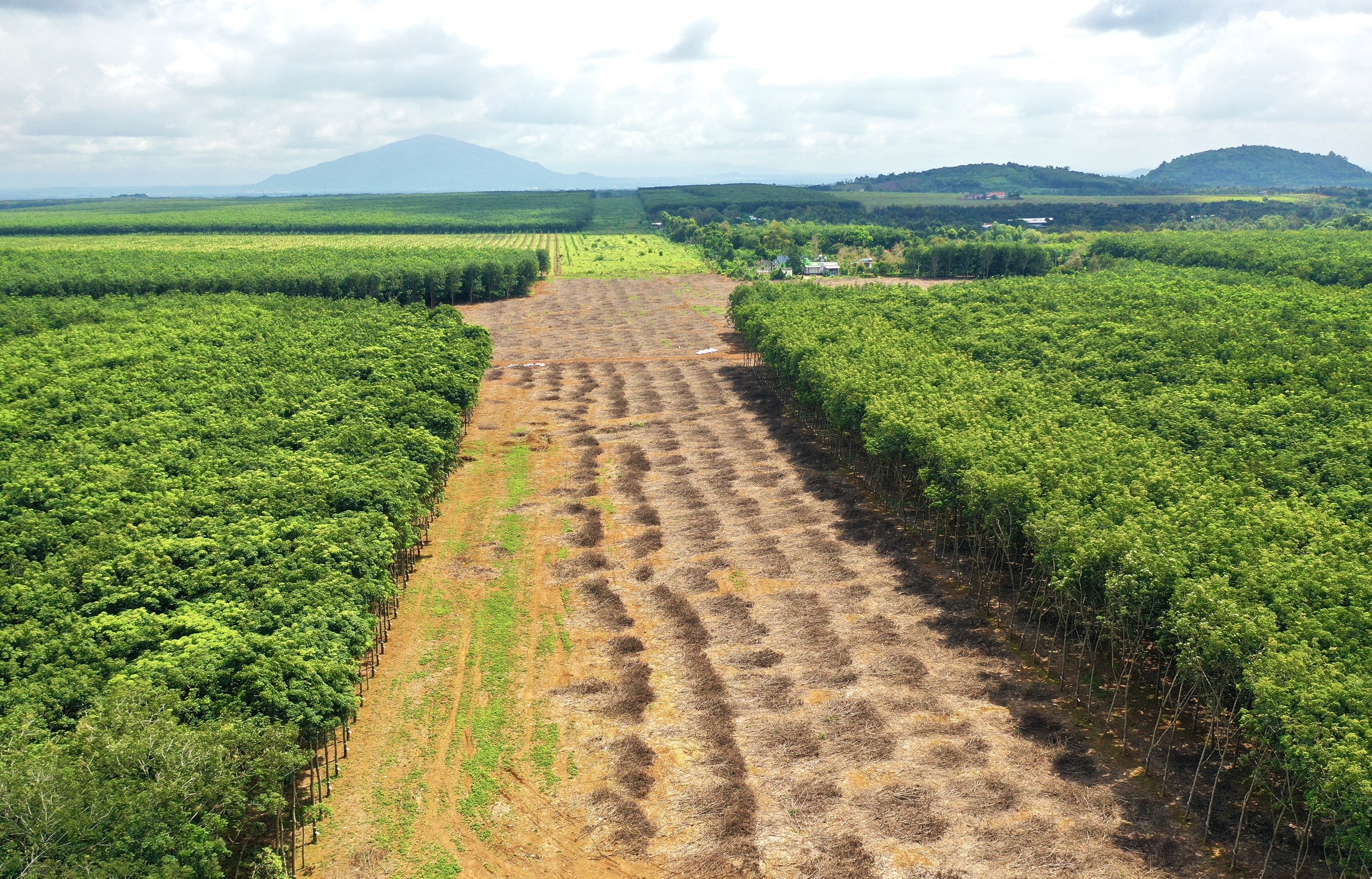 Đại công trường Bình Thuận với loạt dự án nghìn tỷ ảnh 20 Dai cong truong Binh Thuan voi loat du an nghin ty anh 20