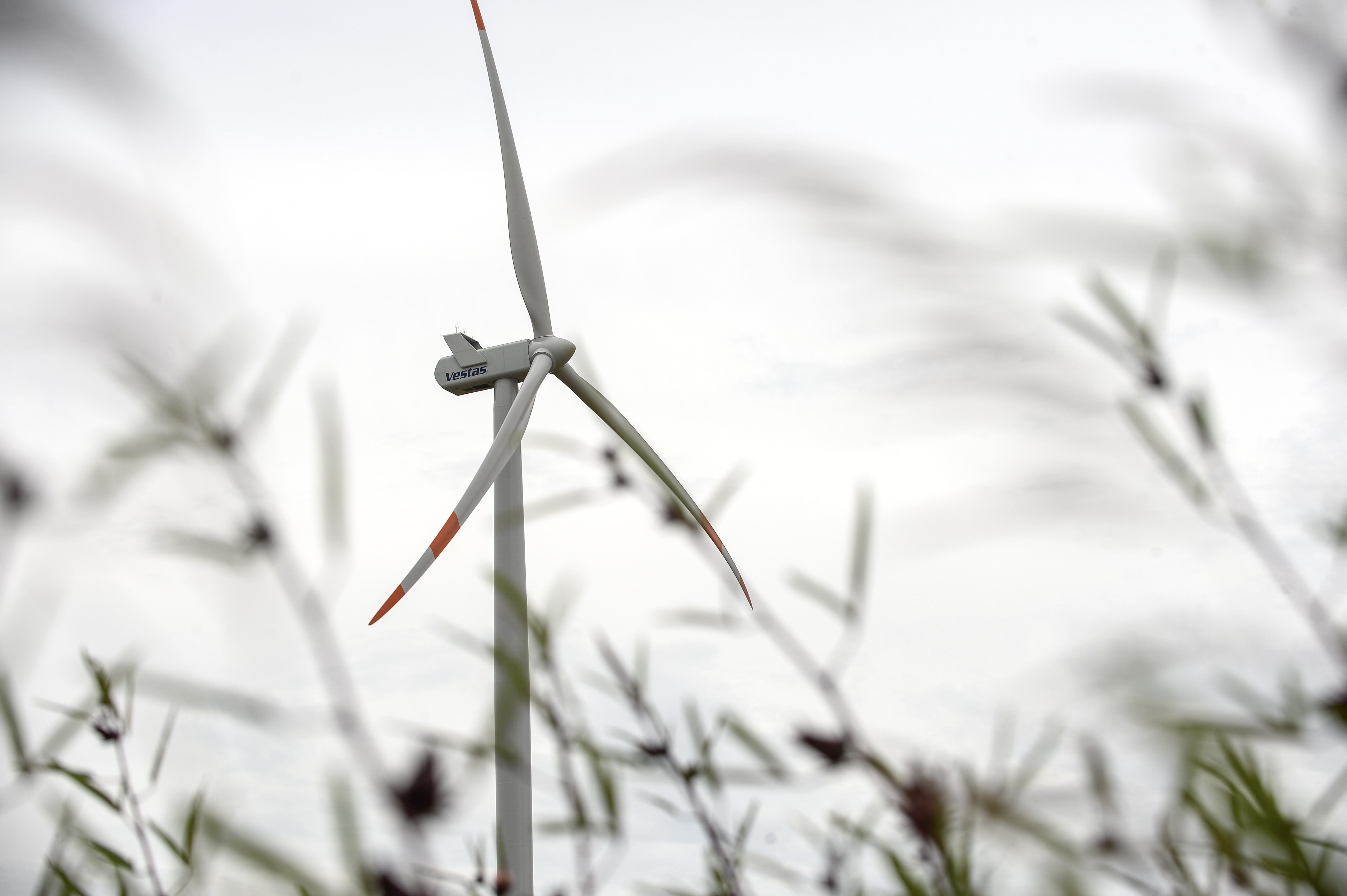 Đại công trường Bình Thuận với loạt dự án nghìn tỷ ảnh 30 Dai cong truong Binh Thuan voi loat du an nghin ty anh 30