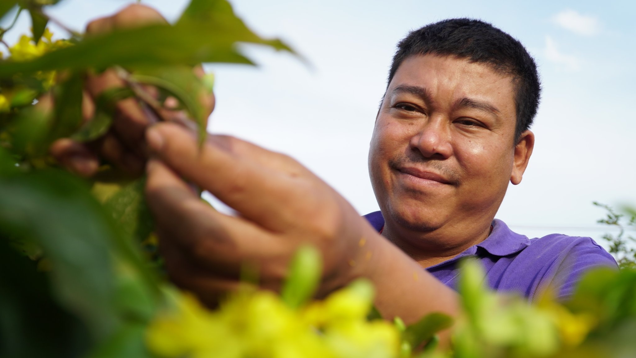 nha vuon lo lo anh 1