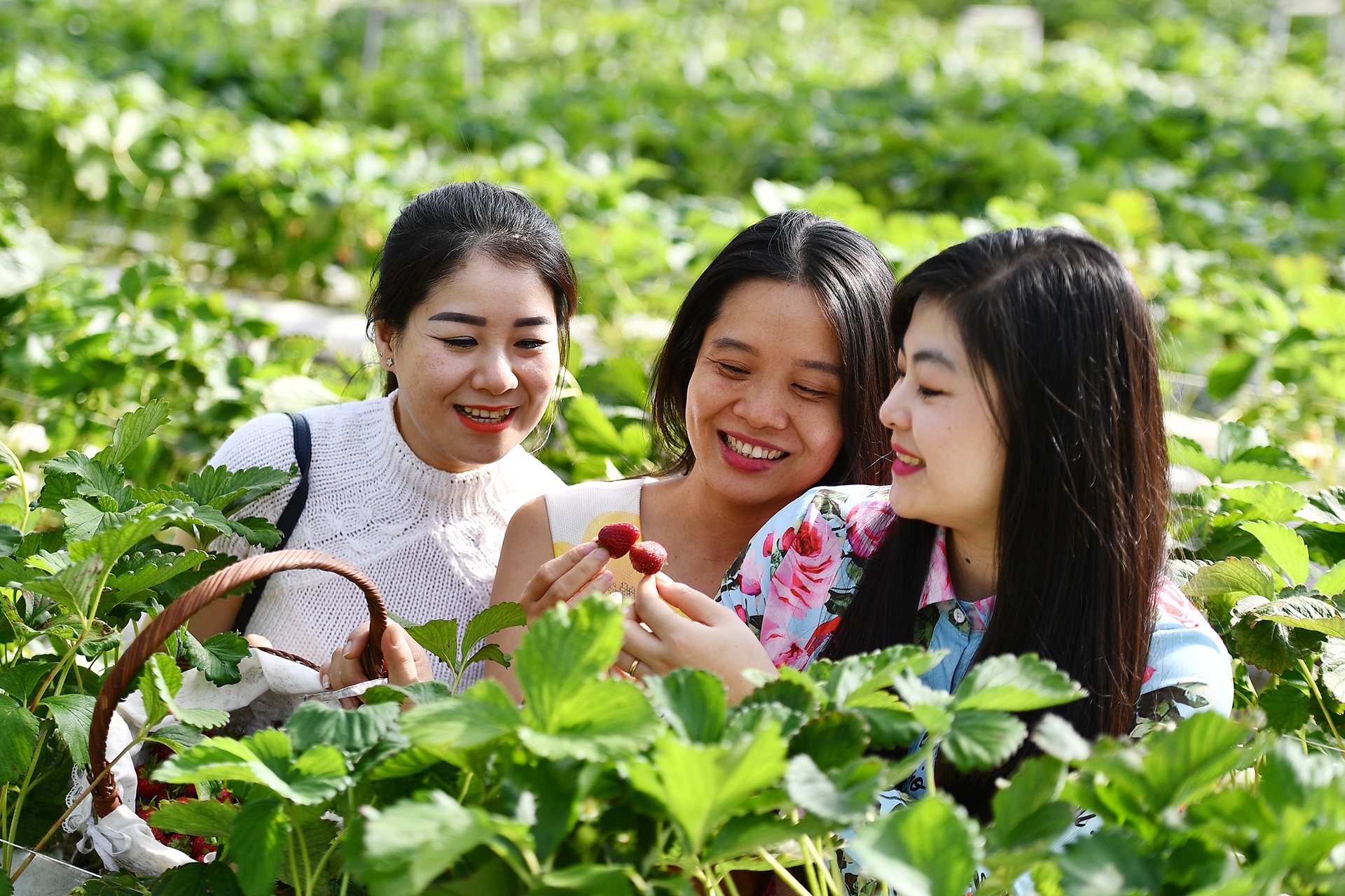 Khach du lich 'tien thoai luong nan' vi dich hinh anh