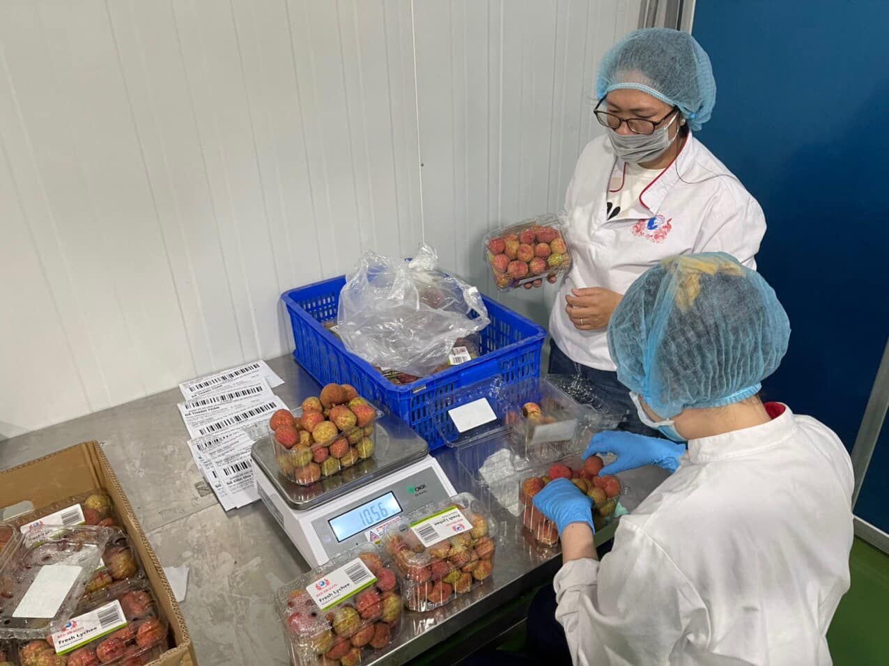 vai thieu len san anh 1