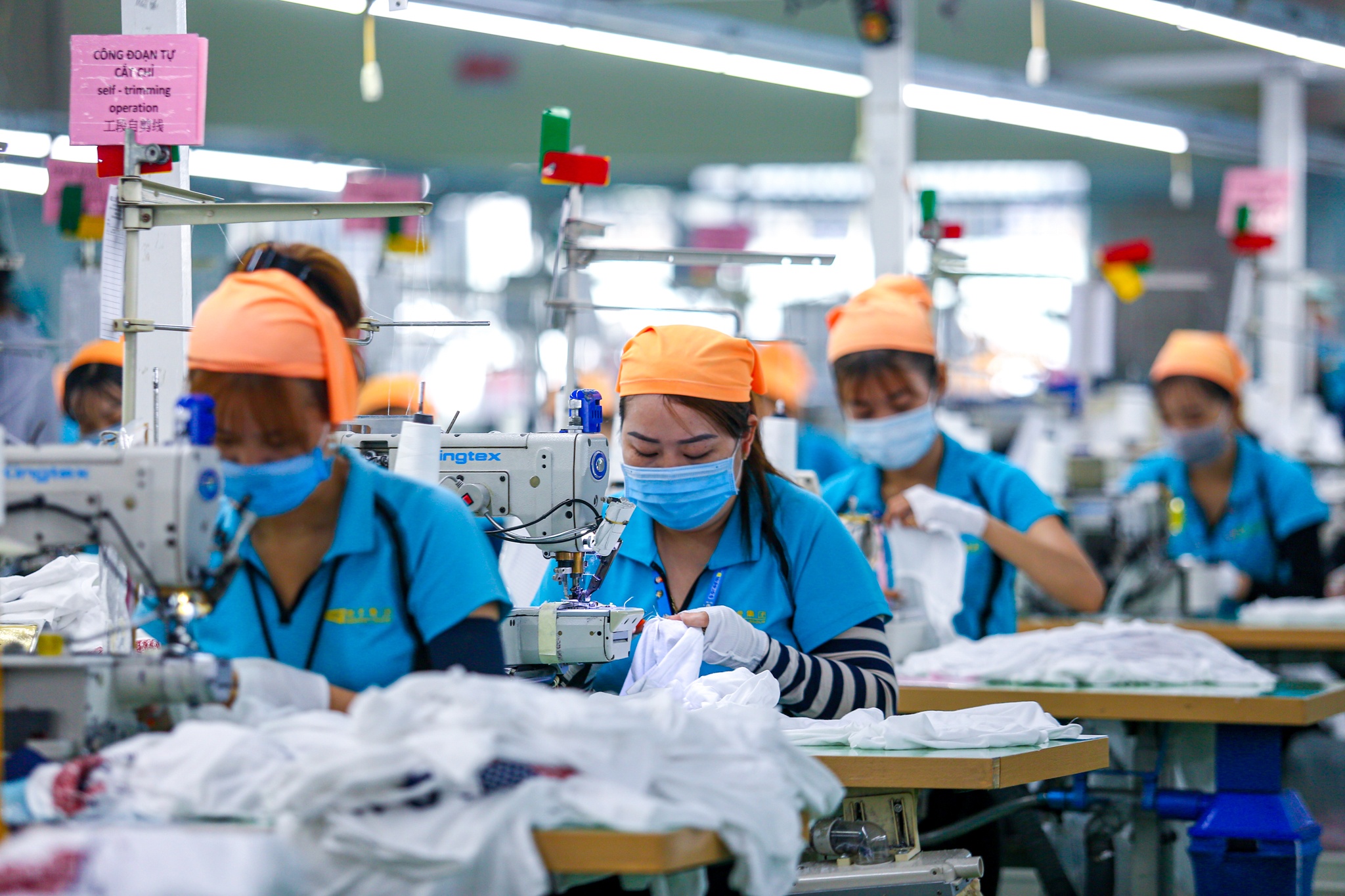 Binh Duong de xuat ho tro lao dong phai cach ly y te hinh anh