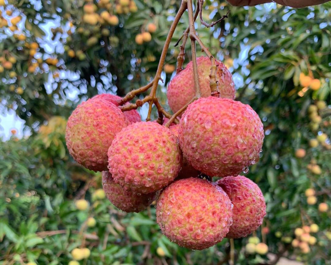 Sieu thi 'bat tay' san TMDT ban vai thieu hinh anh