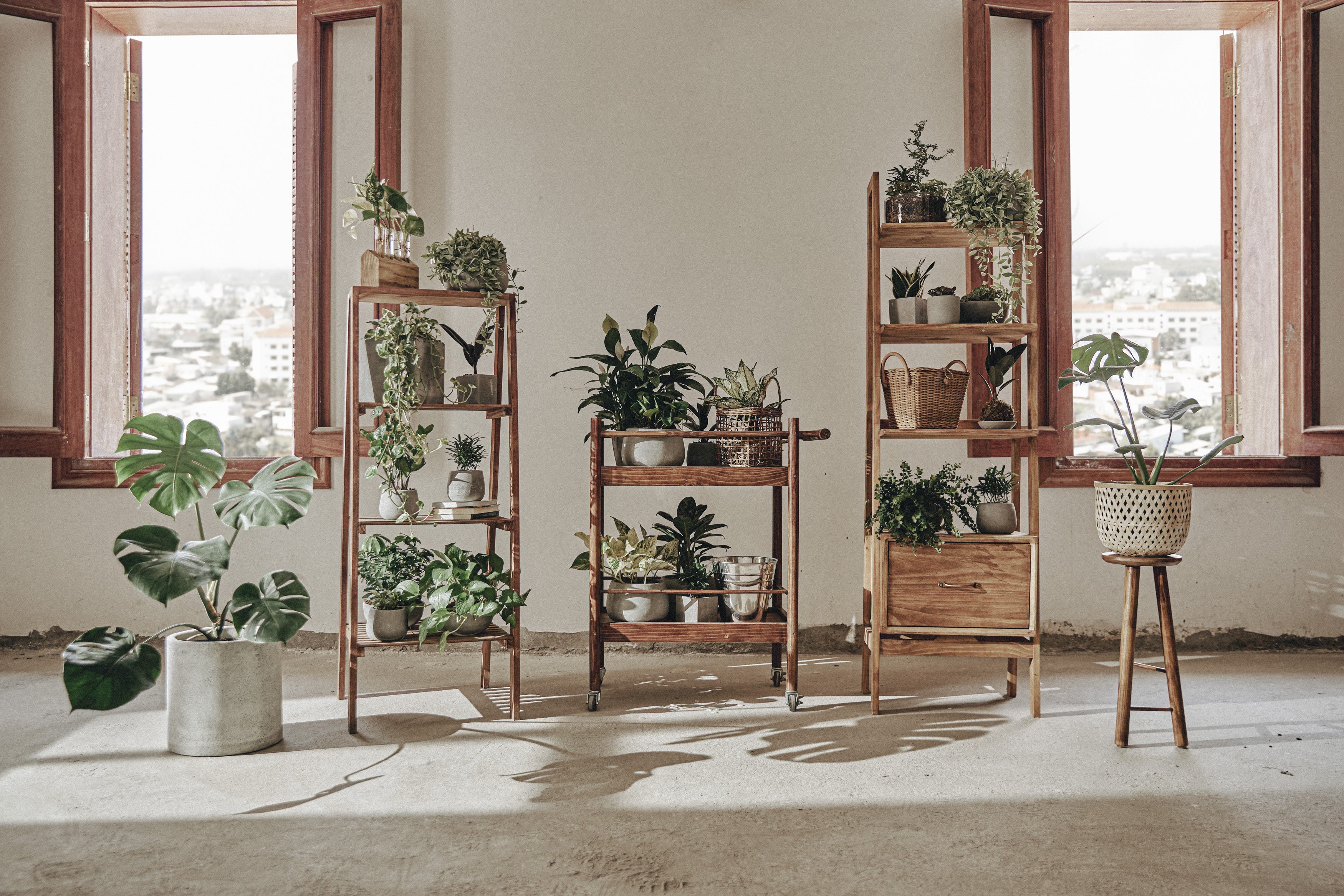 Cay canh len ngoi thoi gian cach anh 2