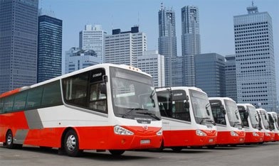 Sap thi diem oto cho khach du lich den san bay hinh anh