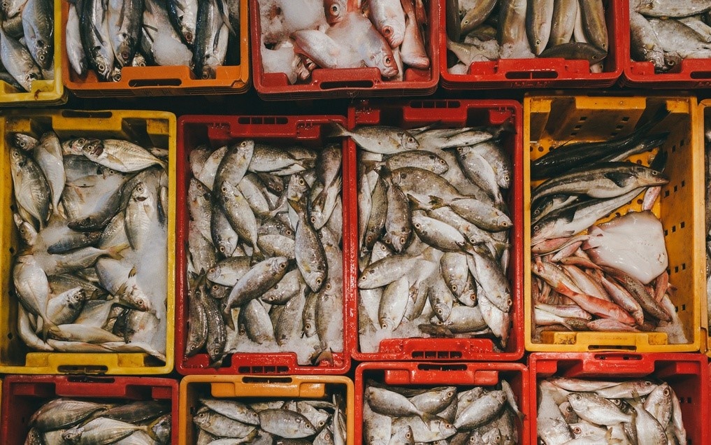 Hang thuy san ve TP.HCM giam 53% sau khi cho Binh Dien dong cua hinh anh