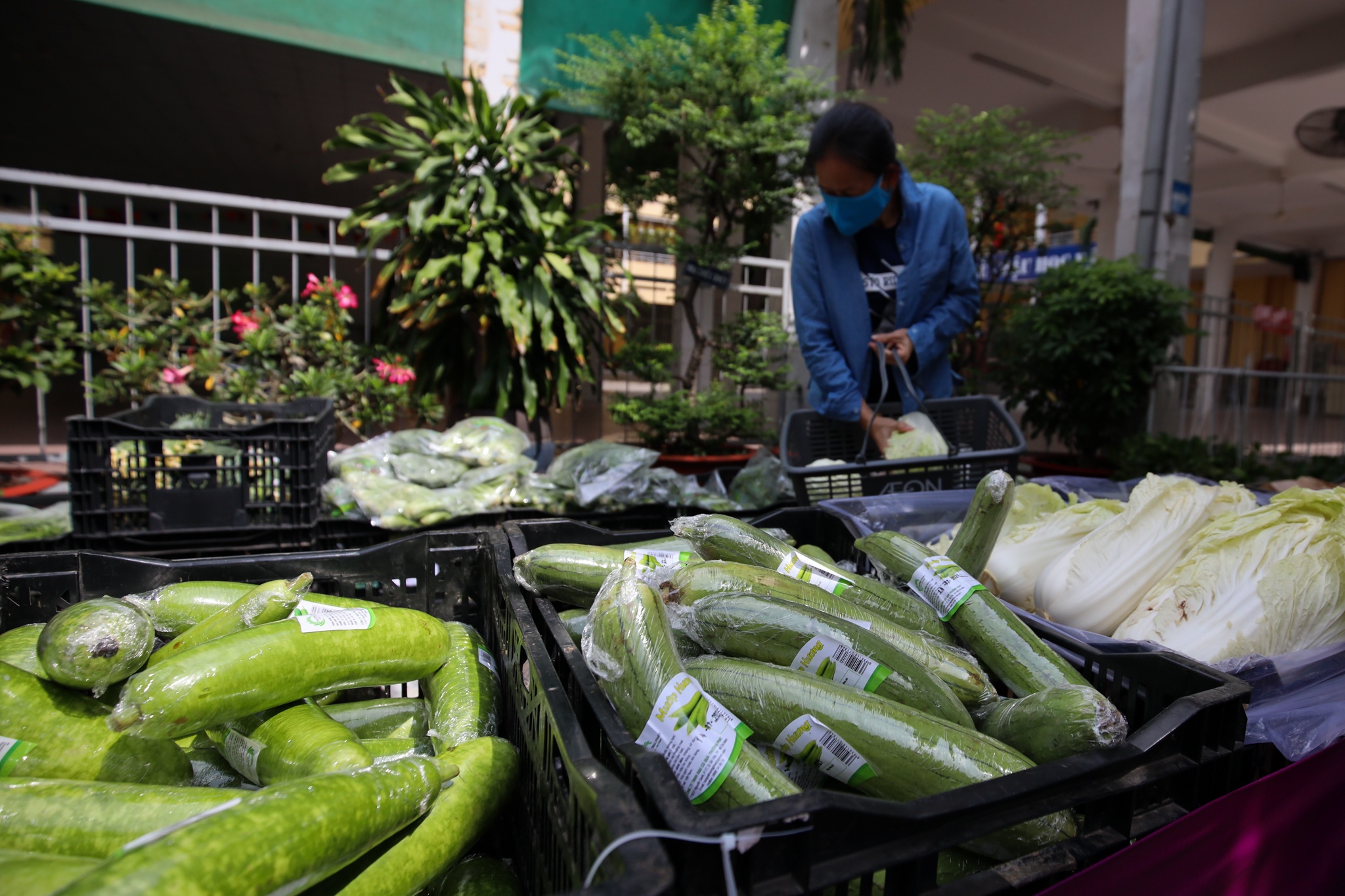 ban hang luu dong anh 2