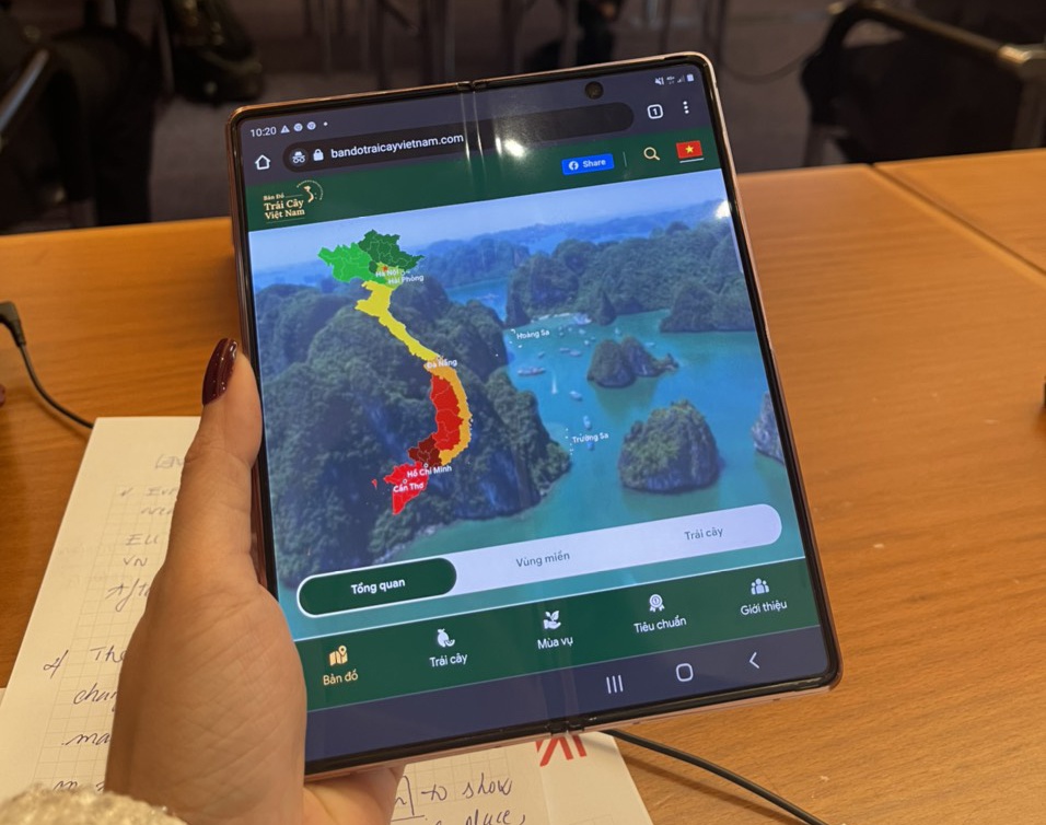 Ban do trai cay Viet Nam du hoi cho lon nhat chau Au hinh anh