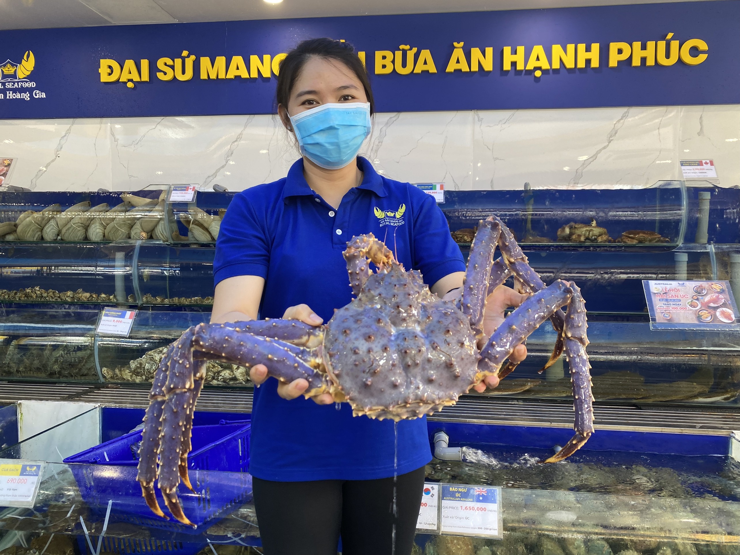 Cua hoang de tim anh 1