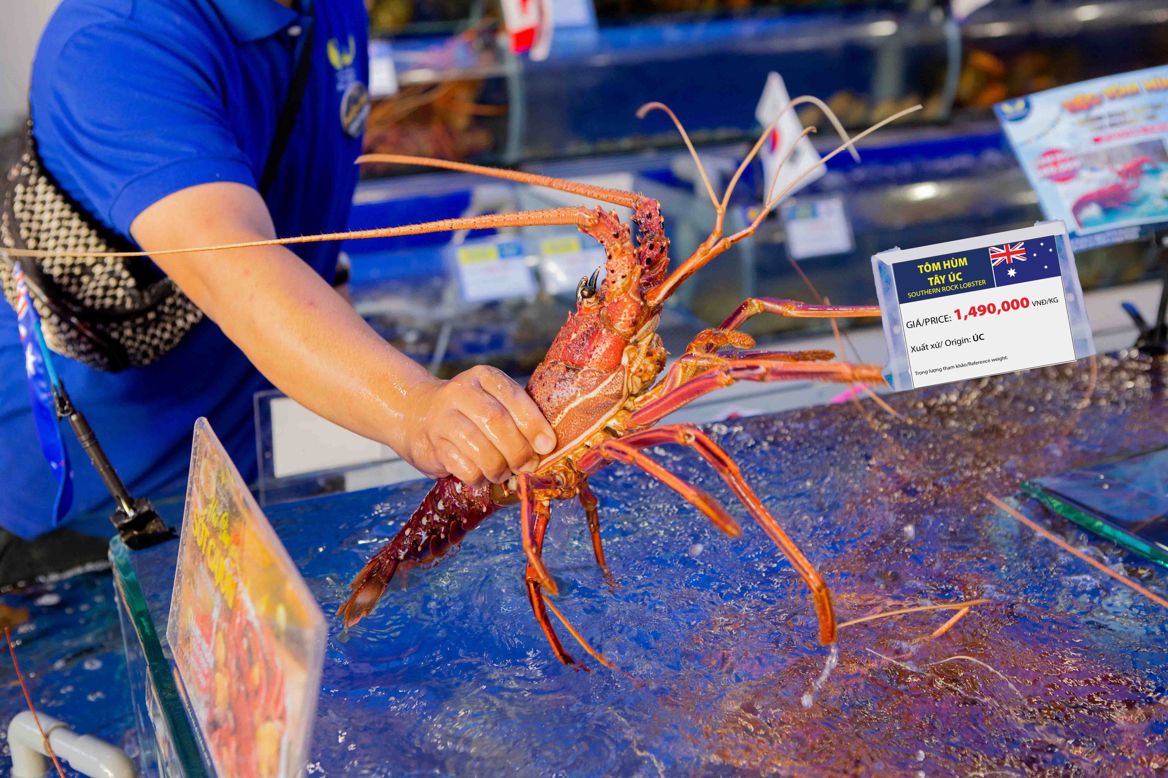 Tom hum Australia dai ha gia hinh anh