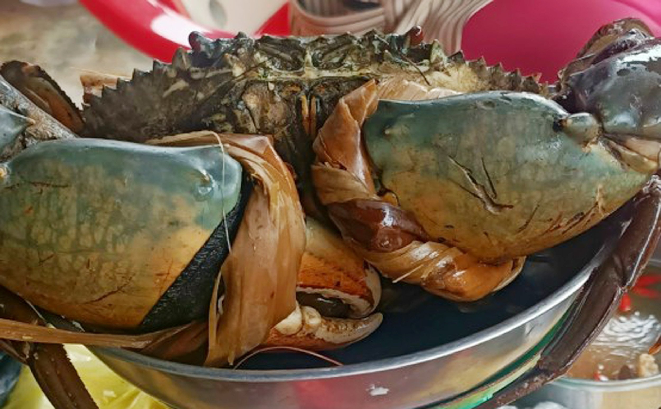 Cua, ghe khan hiem, gia tang cao hinh anh