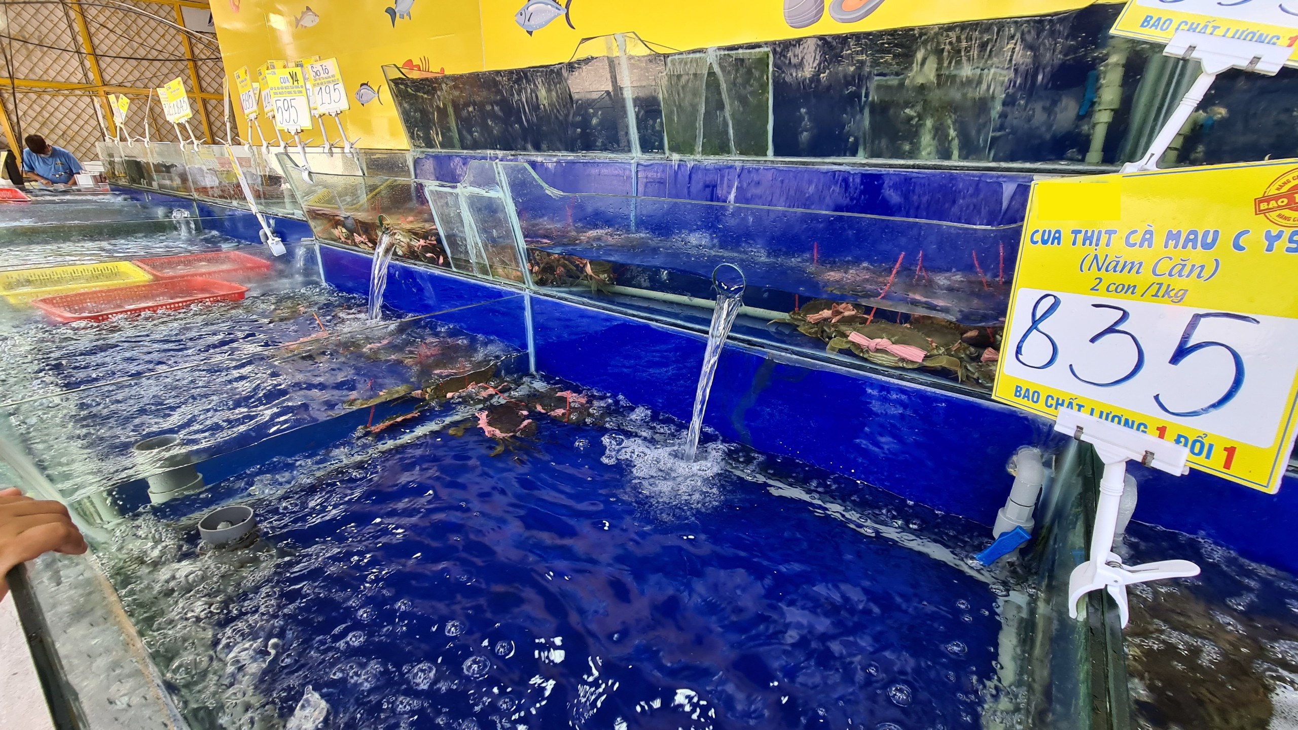 gia cua tang cao anh 1