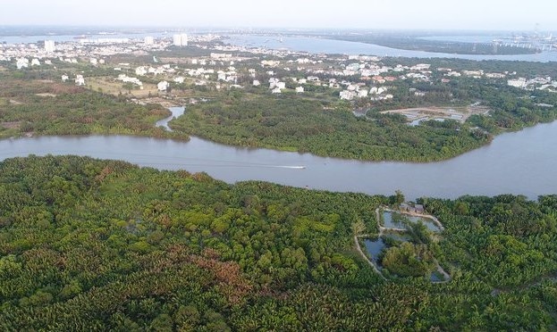 Ba Nhu Loan: 'Nhieu lan muon tra lai tien cho Sunny Island' anh 1