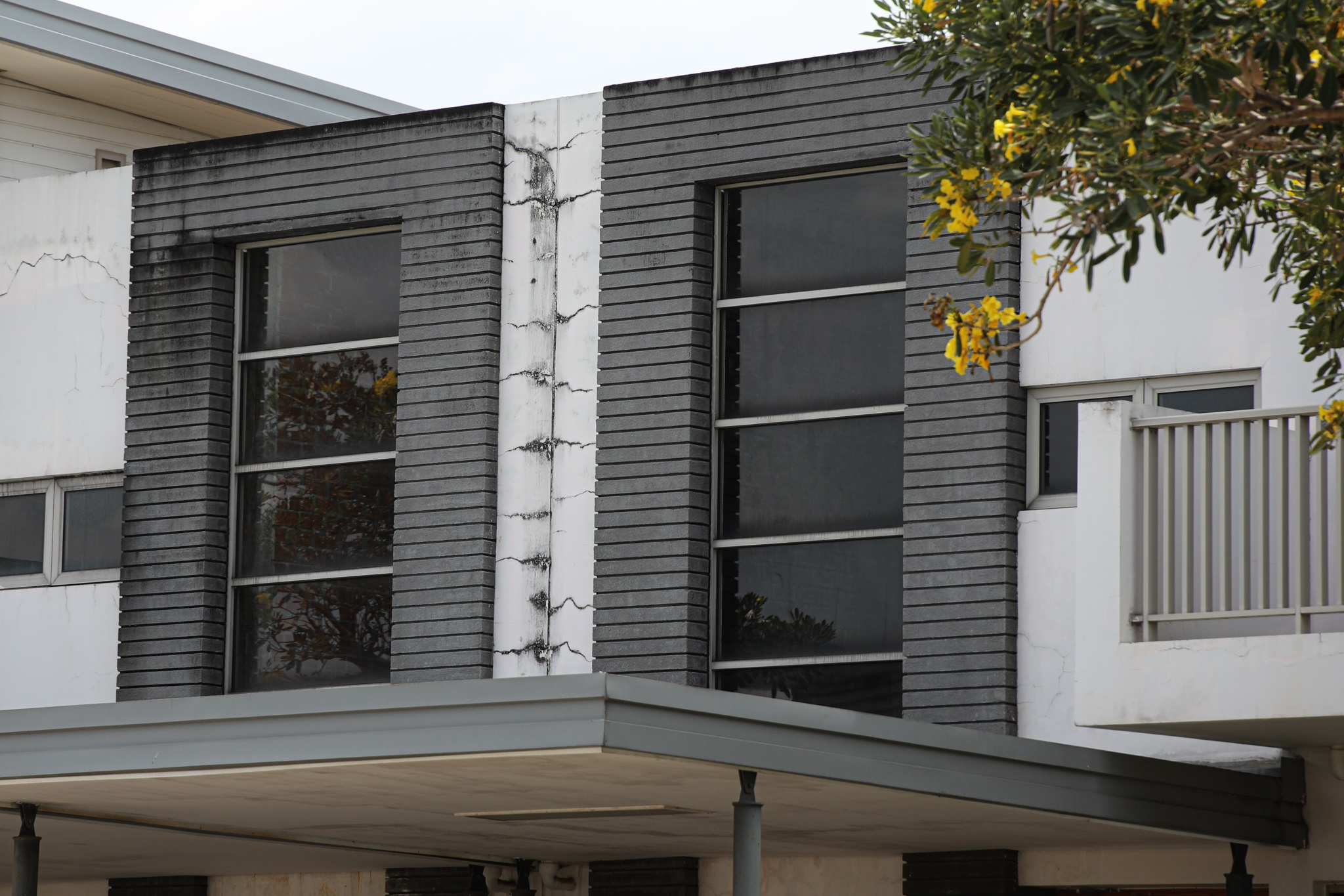 SwanBay doi chu anh 4