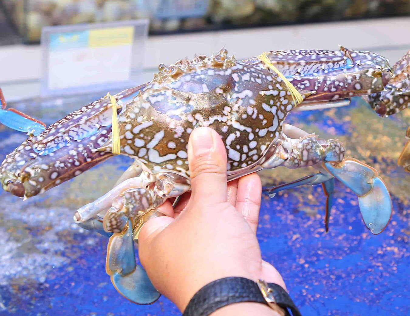 Gia ghe tang manh dip le hinh anh