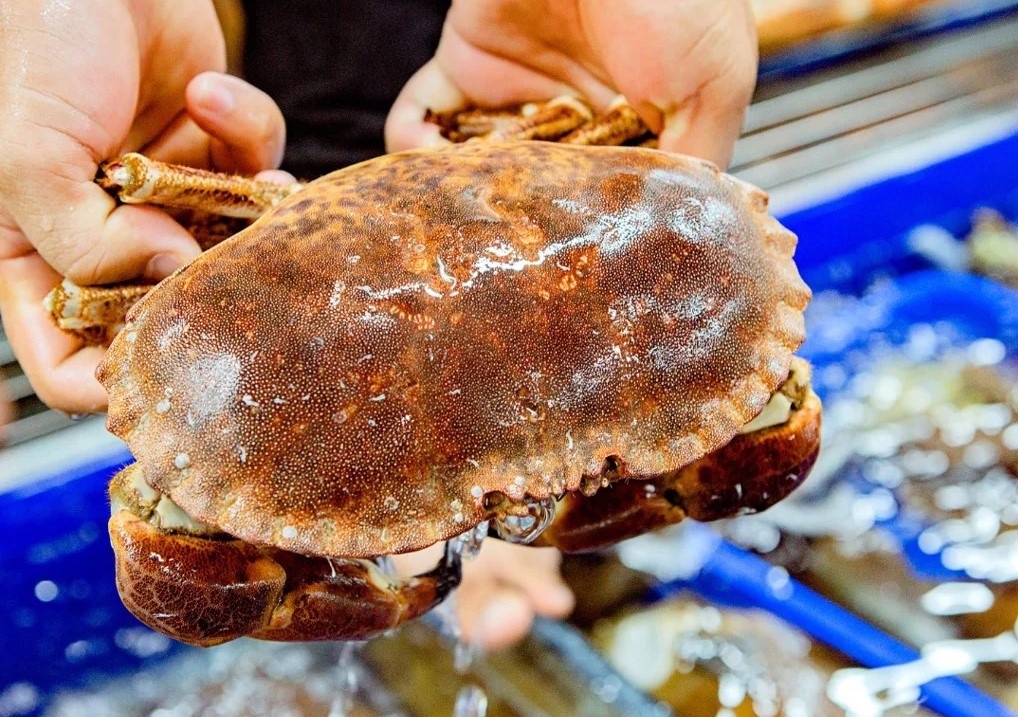 Gia cua ngoai nhap thap hon cua trong nuoc hinh anh