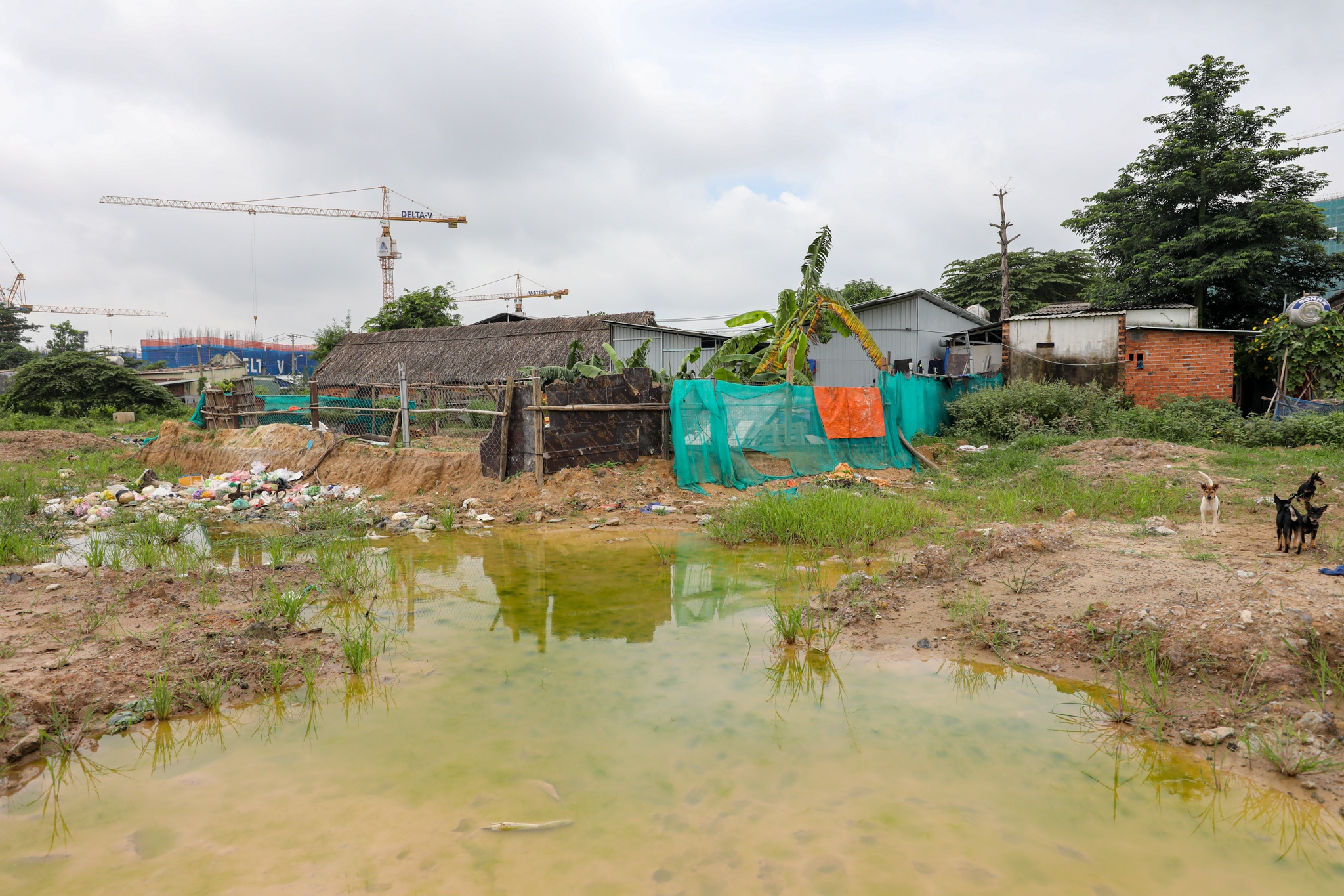 Gia dat tang vot quanh dai do thi cua Vinhomes o TP Thu Duc anh 7