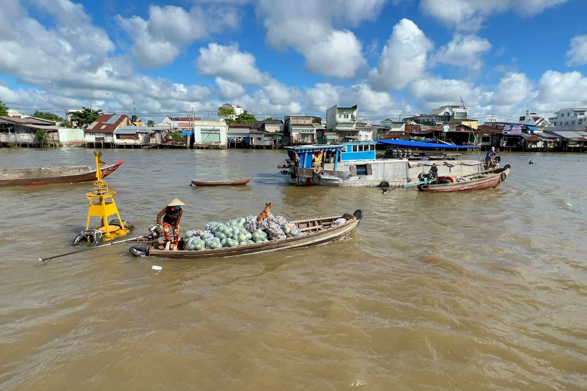 Ong chu Tottenham Hotspur anh 2