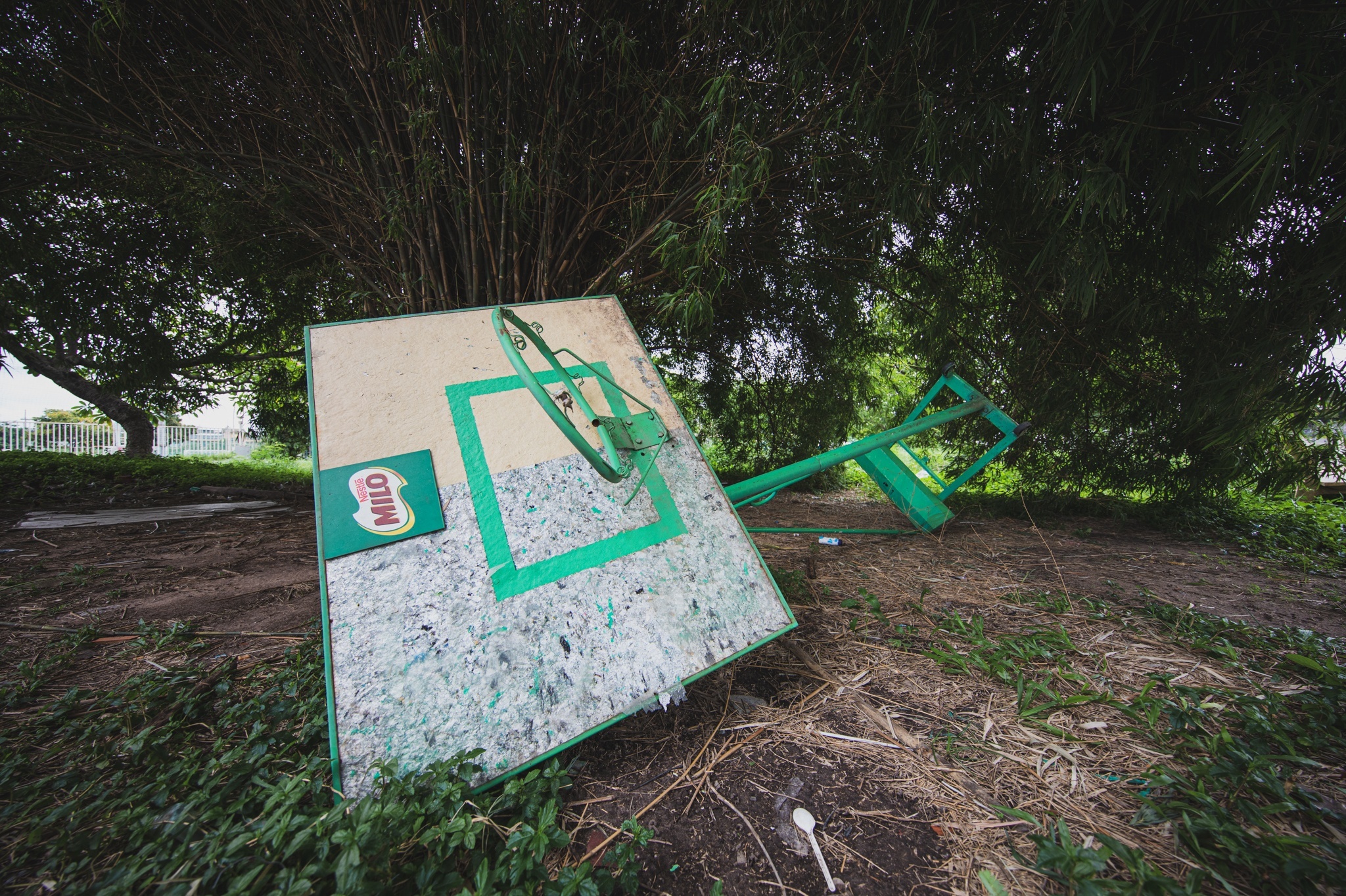 Loat nha thi dau tren dat vang o TP.HCM bi bo phi anh 7