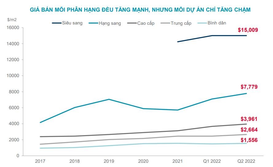Gia can ho o TP.HCM lap dinh anh 1