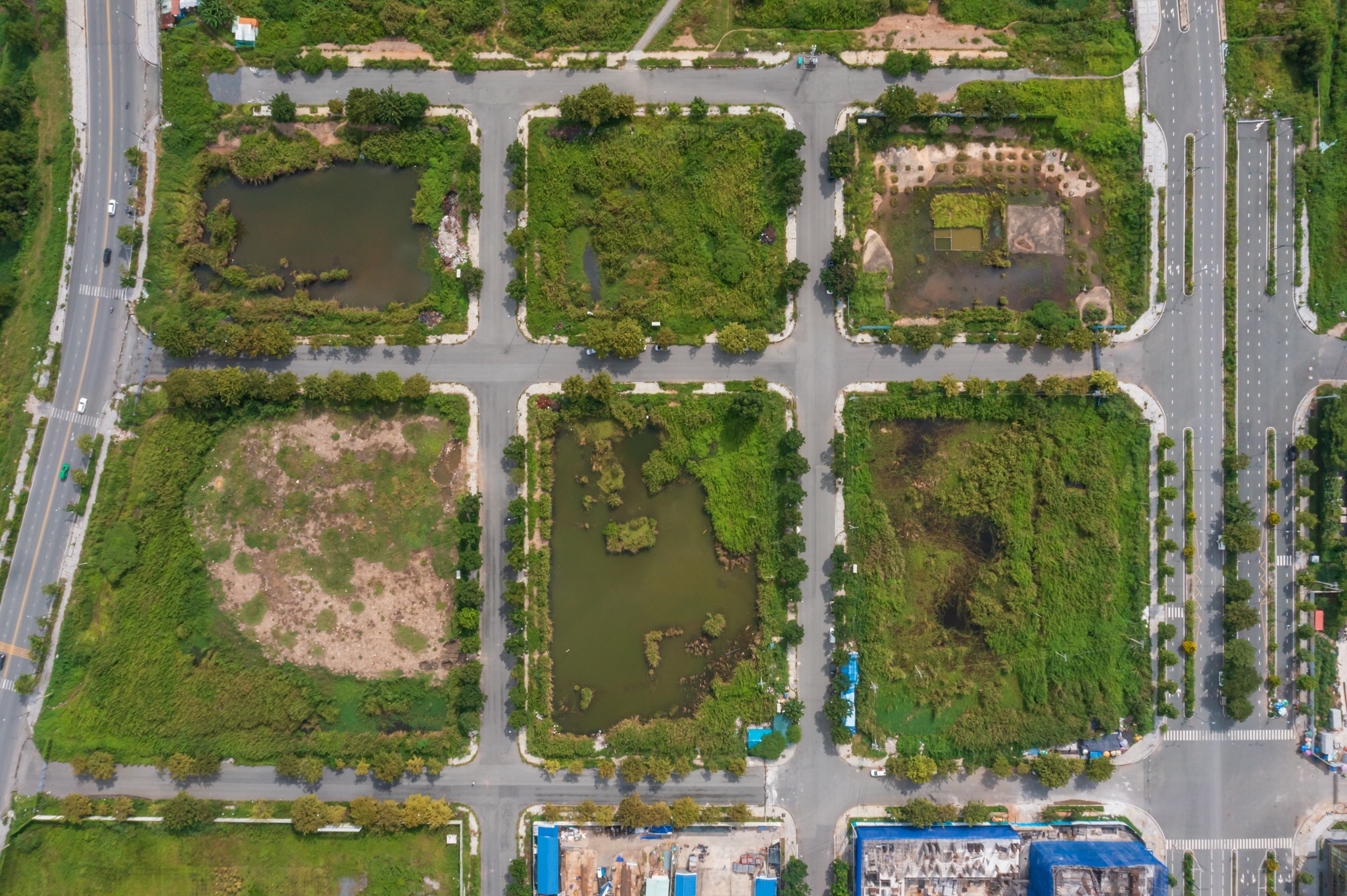 khu loi Thu Thiem anh 13