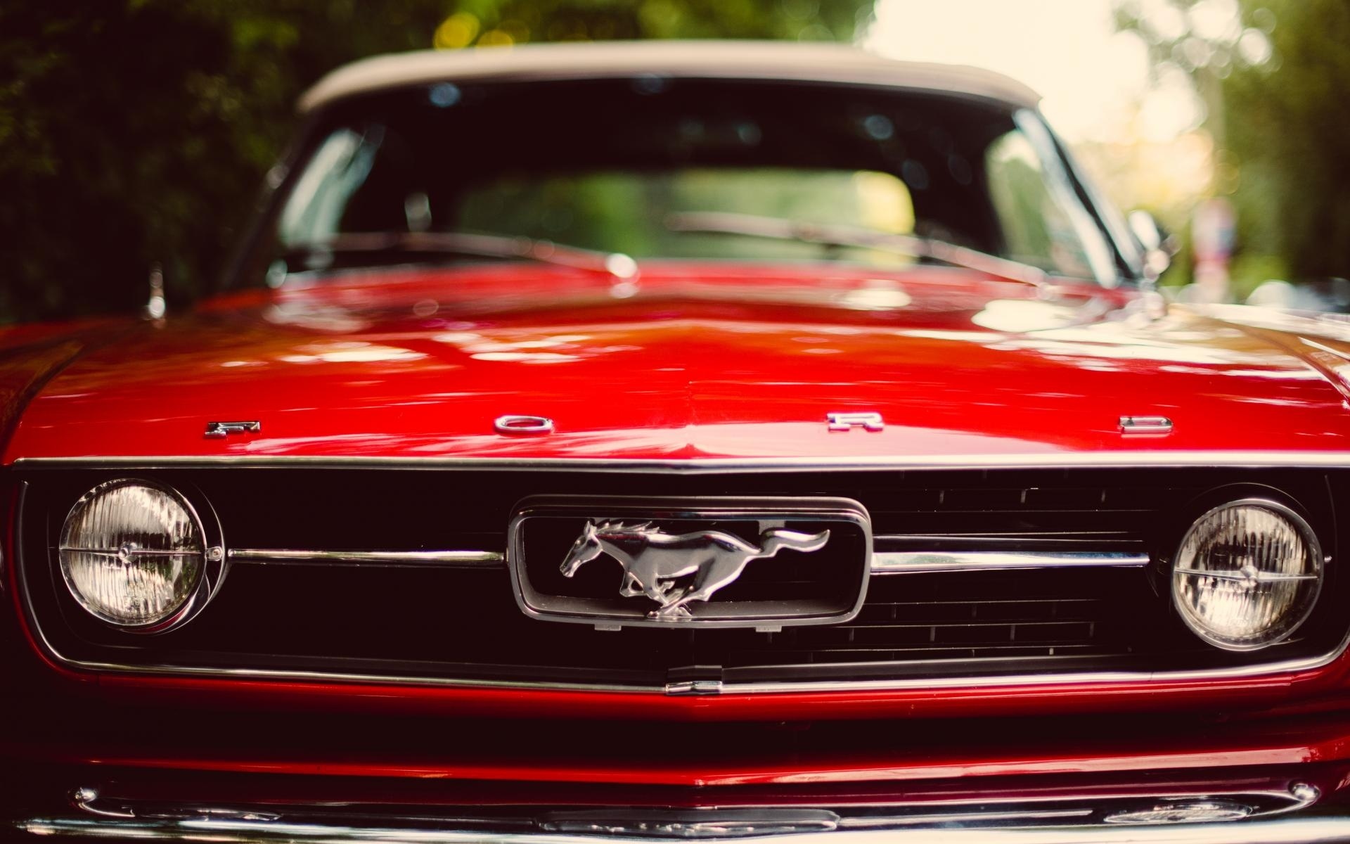 Thuật ngữ xe Ford Mustang  ảnh 1 Thuat ngu xe Ford Mustang anh 1