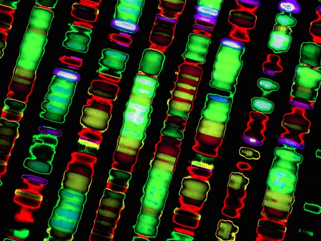 Google và những dự án thay đổi tương lai loài người ảnh 9 Google va nhung du an thay doi tuong lai loai nguoi anh 9