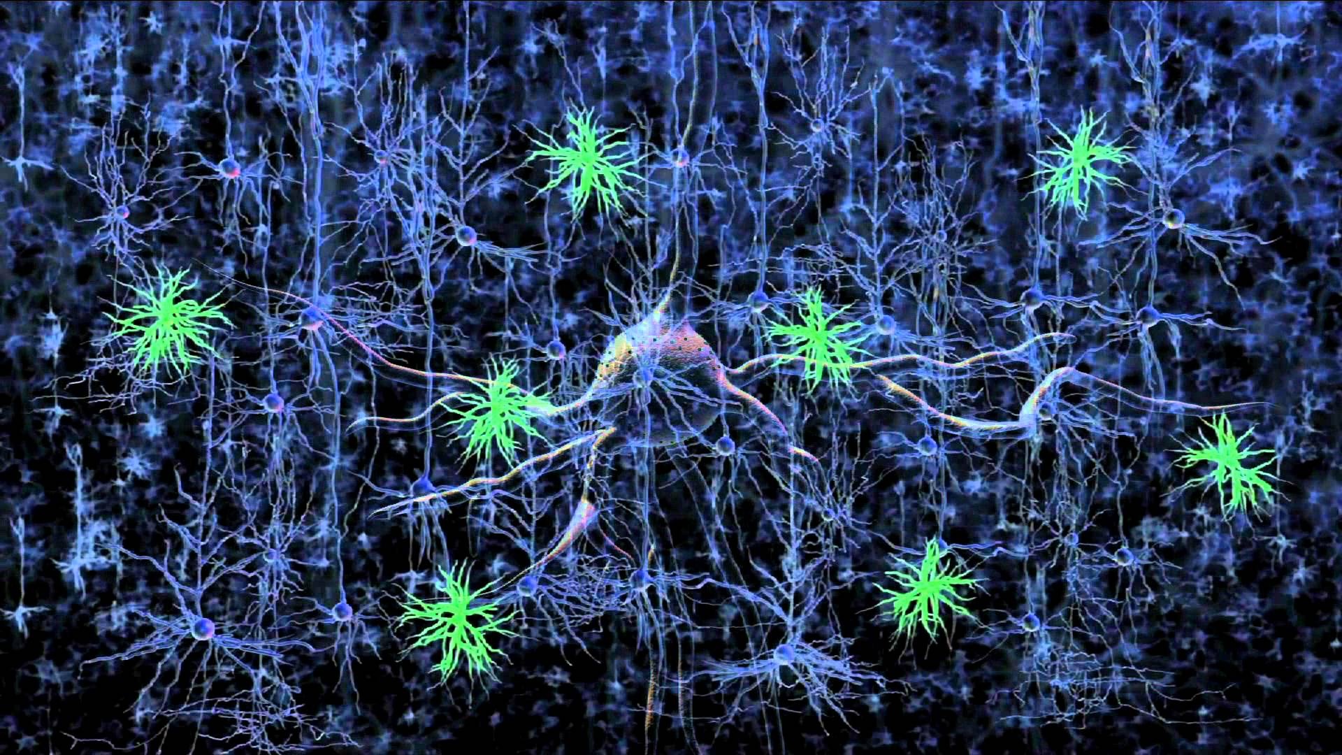 10 công nghệ mới nhất năm 2016 ảnh 9 10 cong nghe moi nhat nam 2016 anh 9