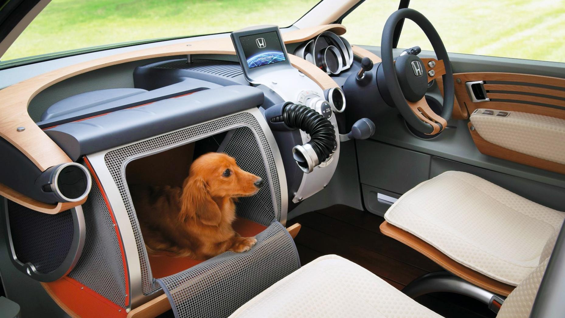 9 phat kien di vao ngo cut tren oto hinh anh