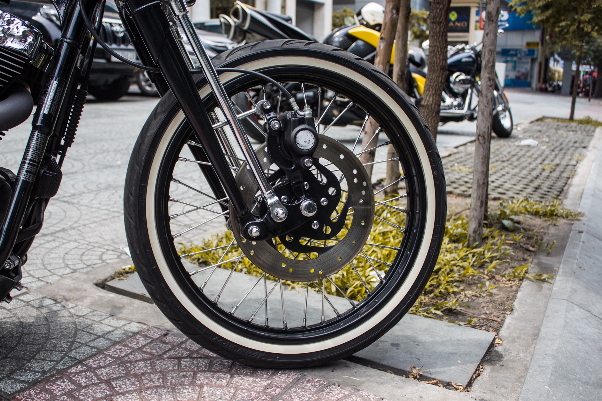 Harley-Davidson do Halloween anh 7