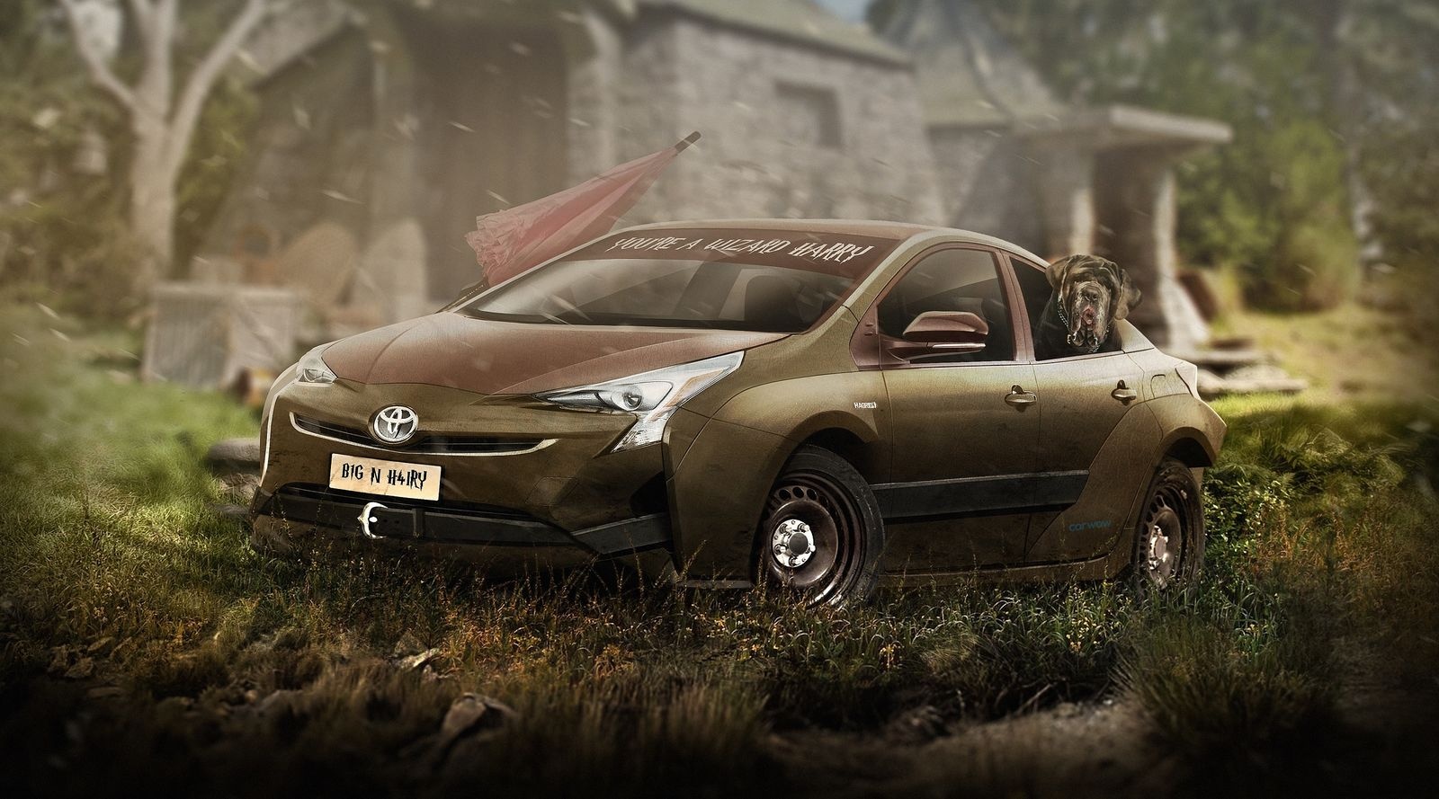 xe cua Harry Potter anh 10