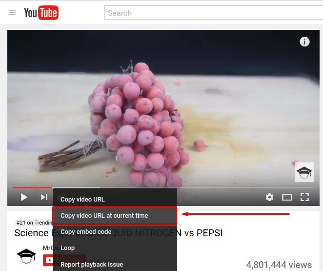 Nhung meo thu vi voi YouTube anh 3