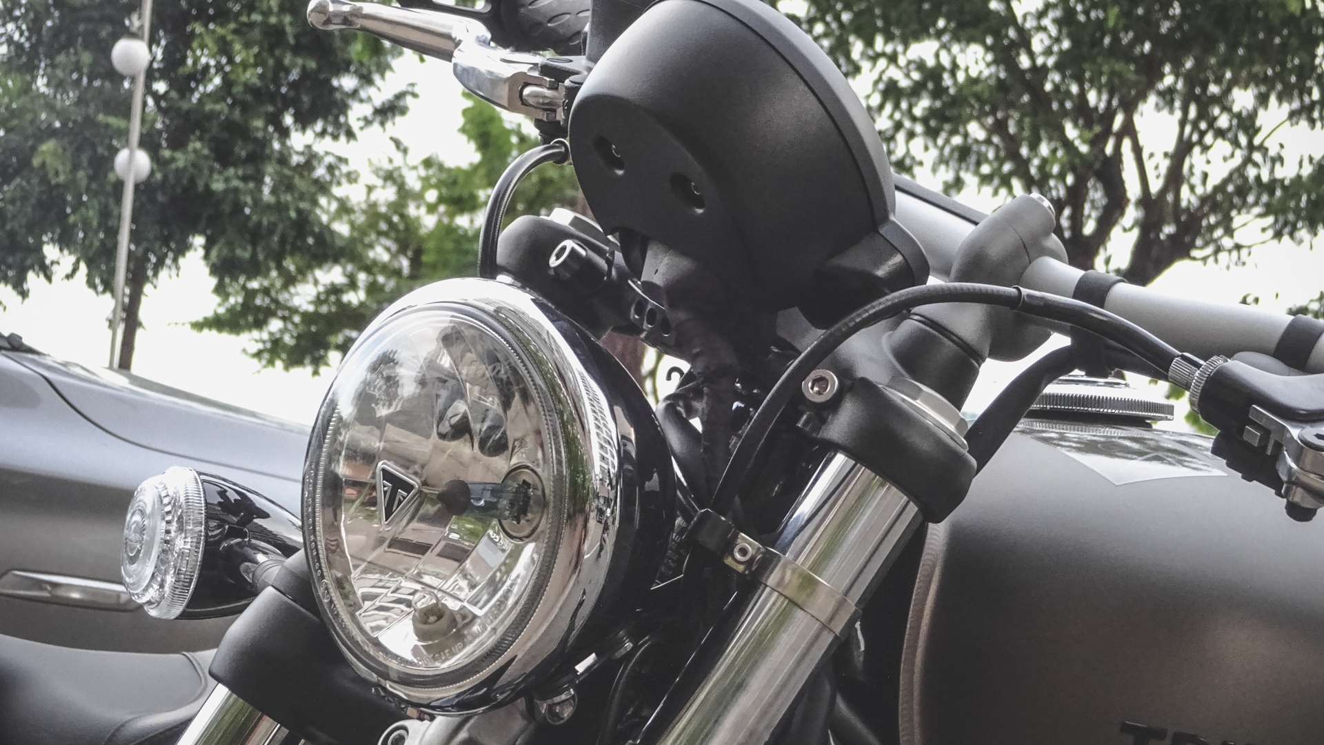 Triumph cua Cuong Do la anh 4